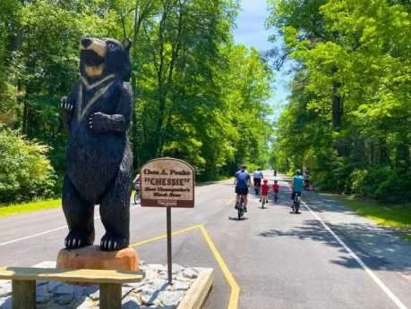 BikeFest at the Dismal Swamp Canal Trail 
