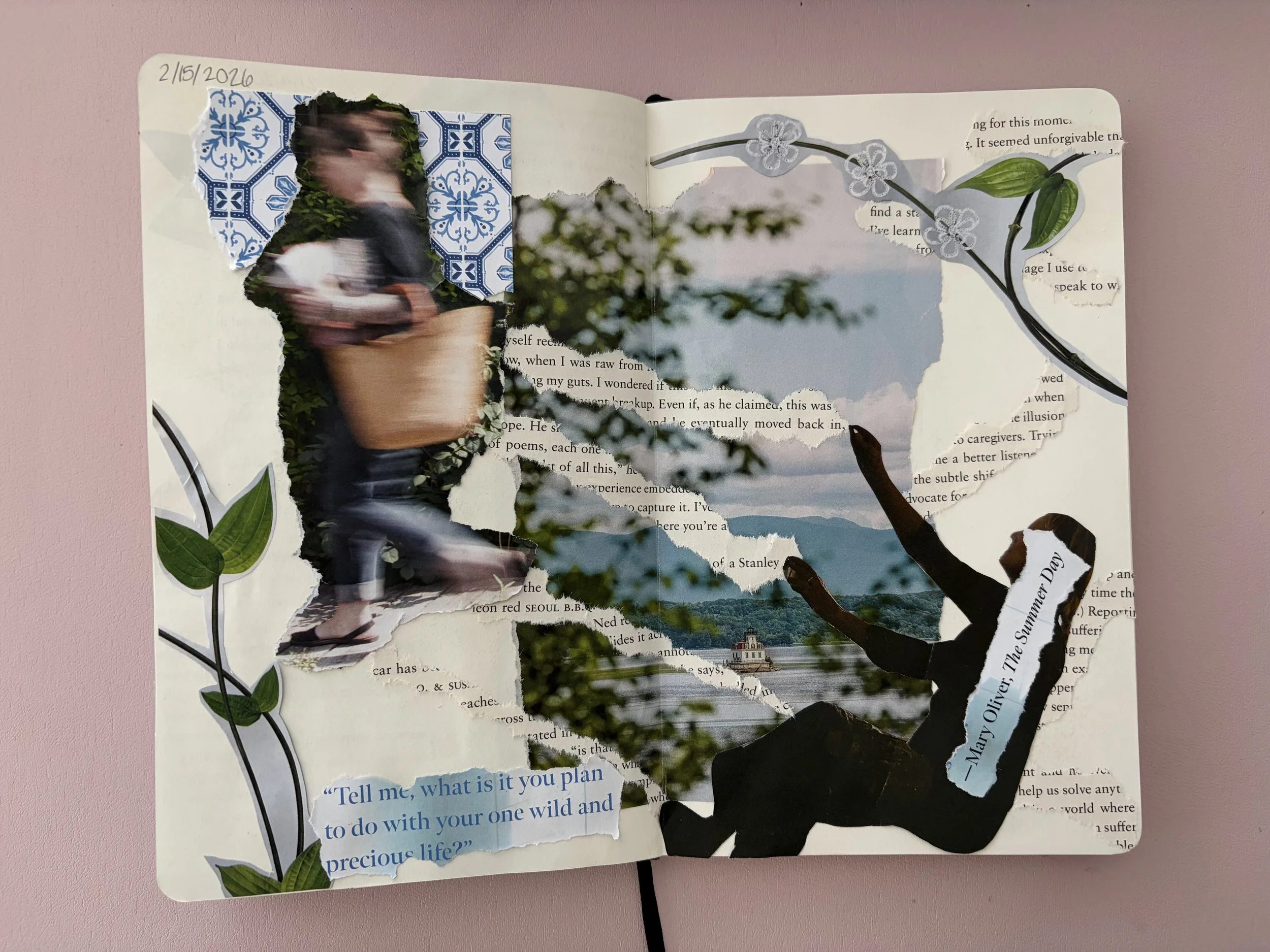 A collage of torn magazine pages and photographs featuring a blurred person walking with a basket, a mountain landscape, and green leaves. Text includes a quote: "Tell me, what is it you plan to do with your one wild and precious life?" and a label r