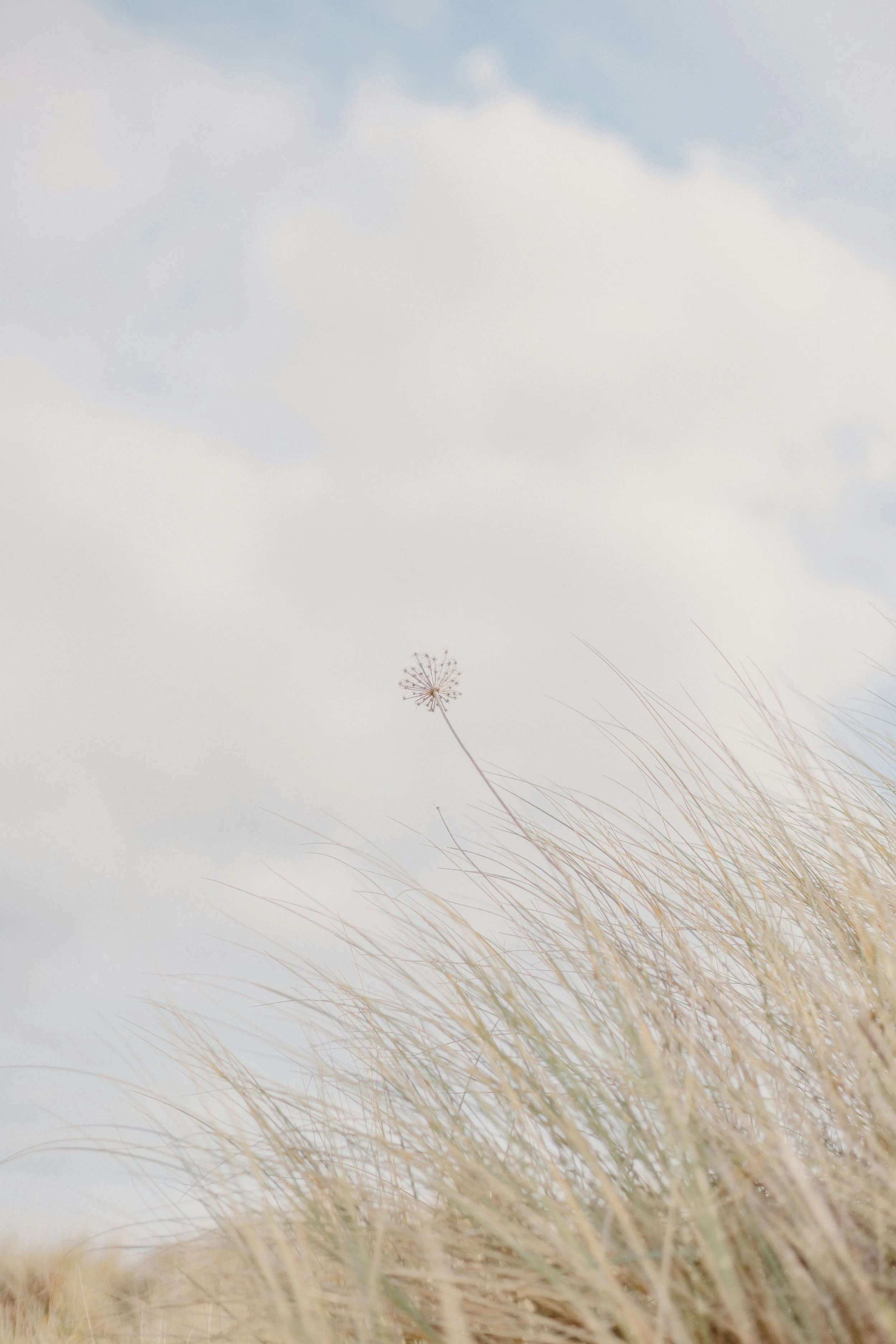 Therapy is Self-Care, And It Always Has Been