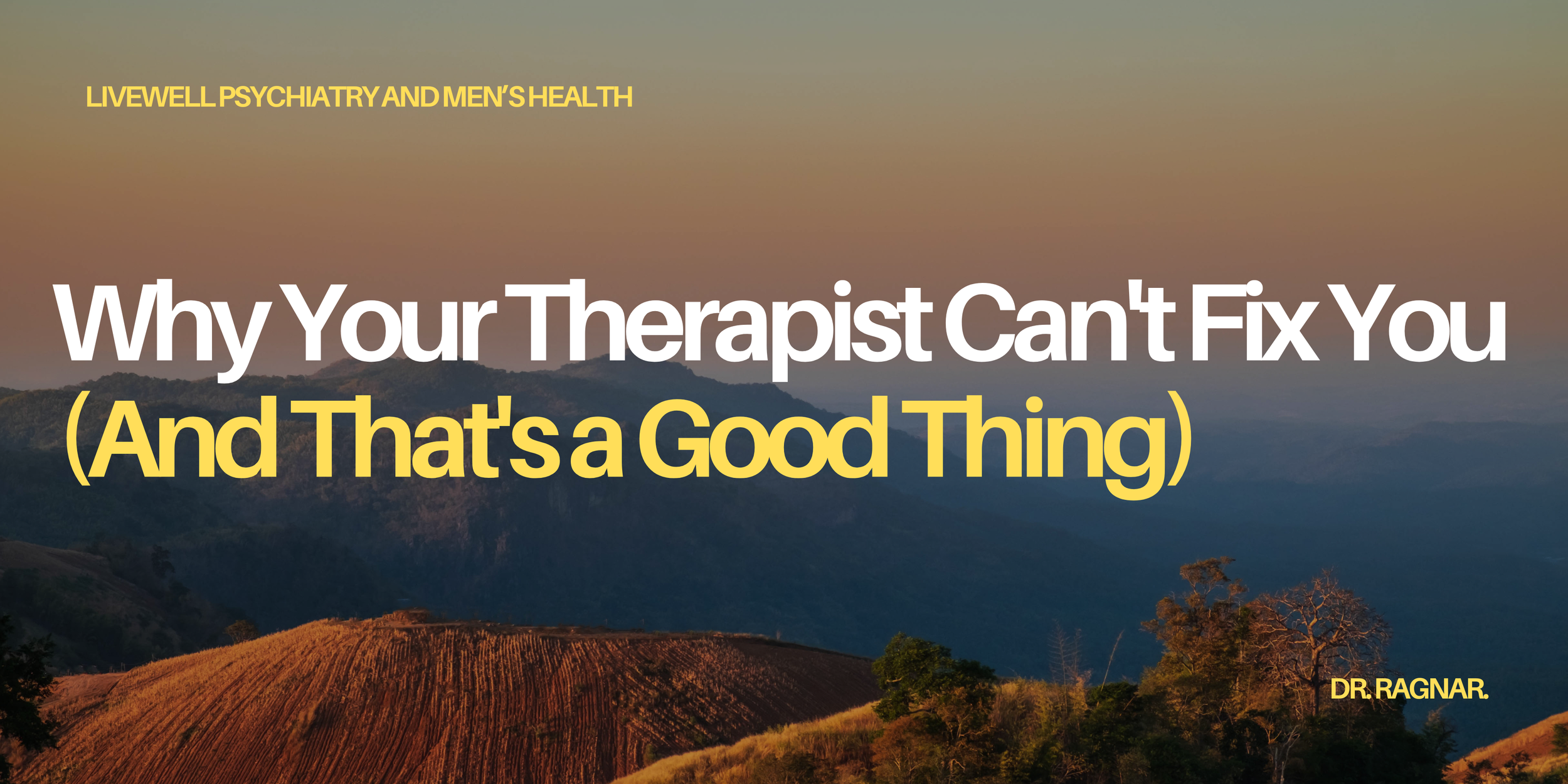 Why Your Therapist Can't Fix You (And That's a Good Thing)