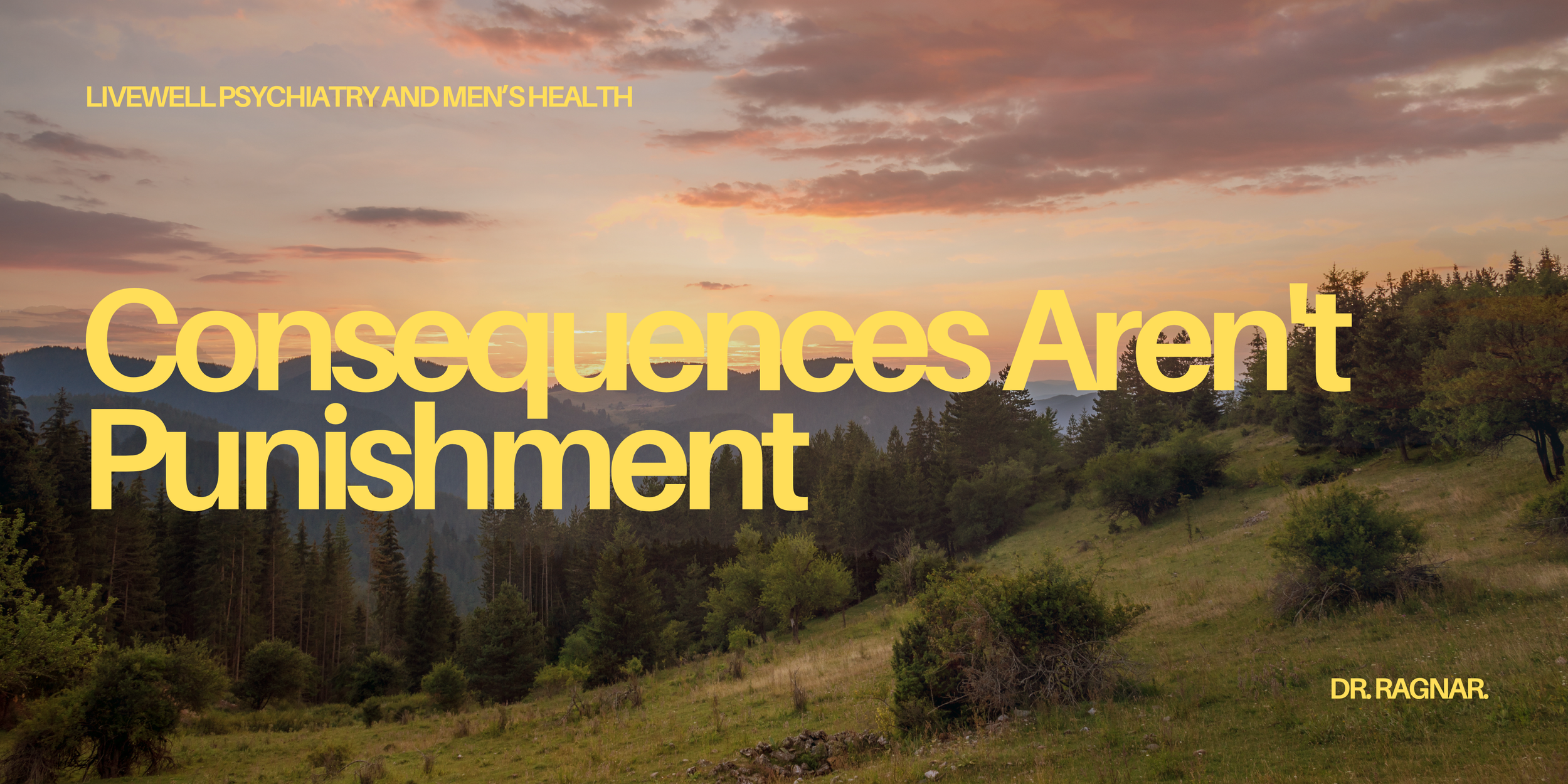 Consequences Aren't Punishment