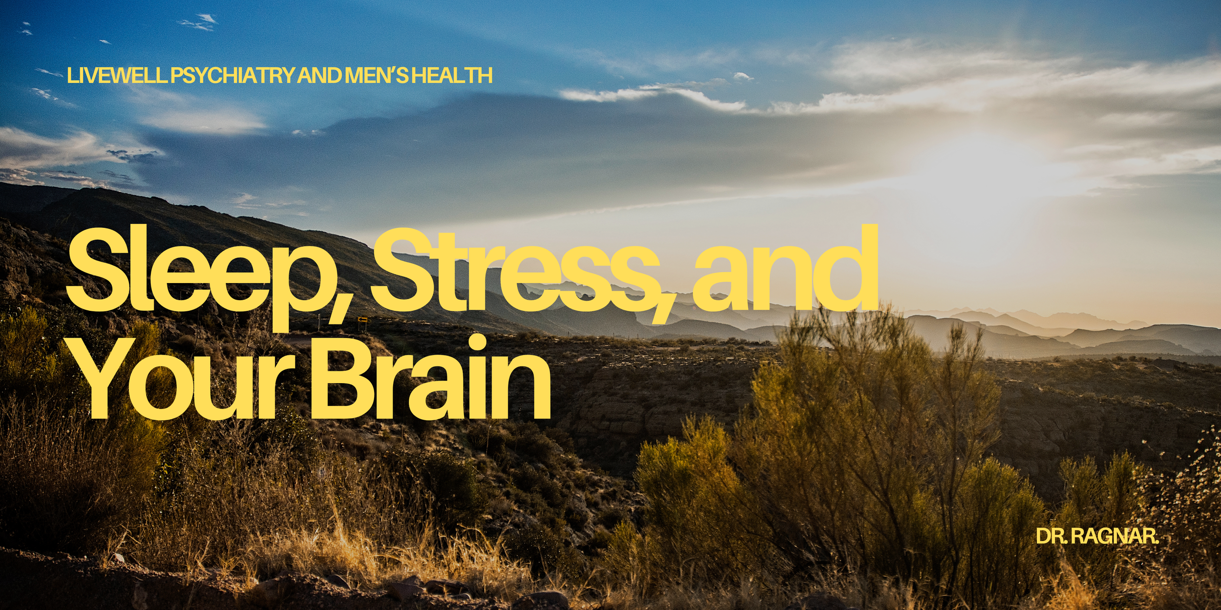 Sleep, Stress, and Your Brain