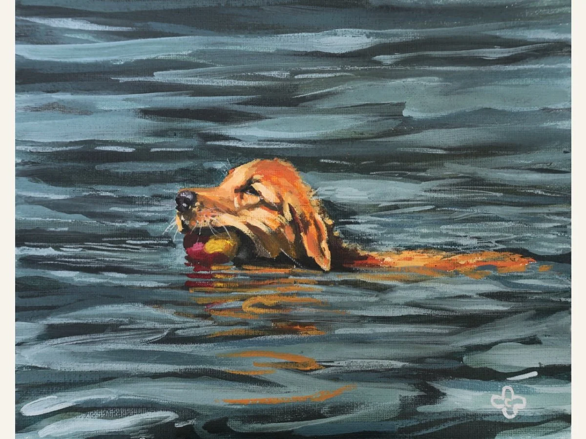 Golden Lake Swim, 9"x12", Acrylic on board