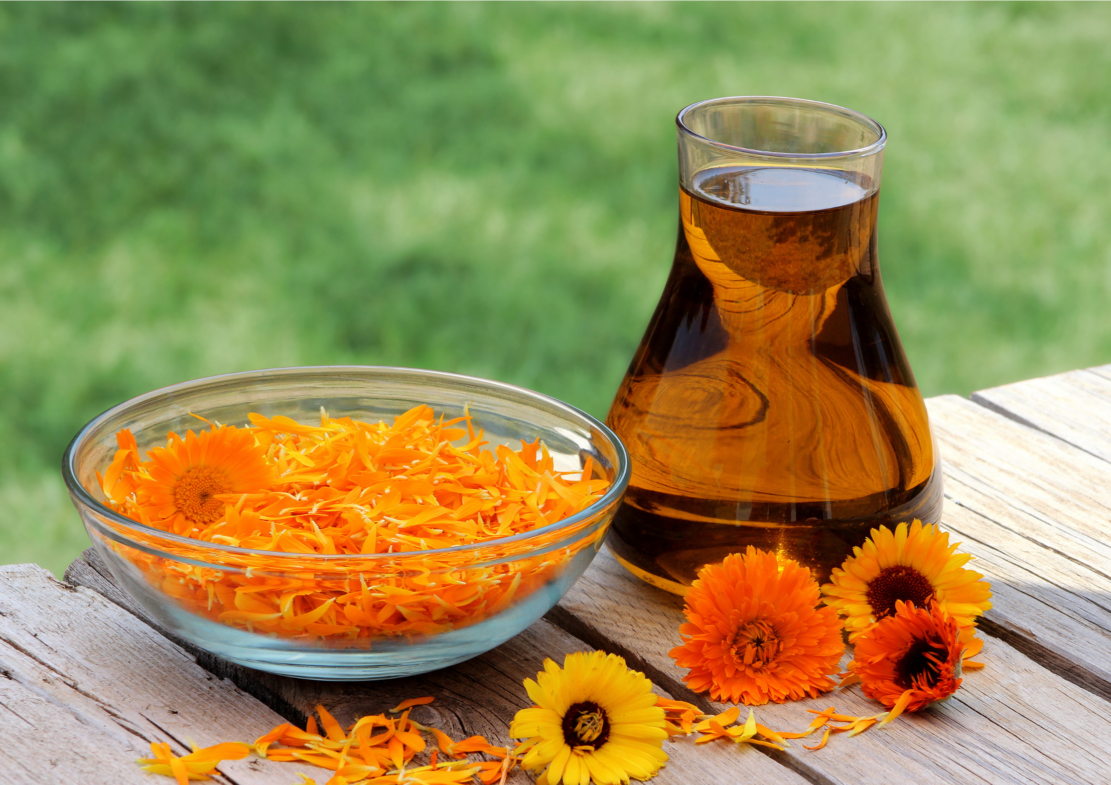 Calendula Oil