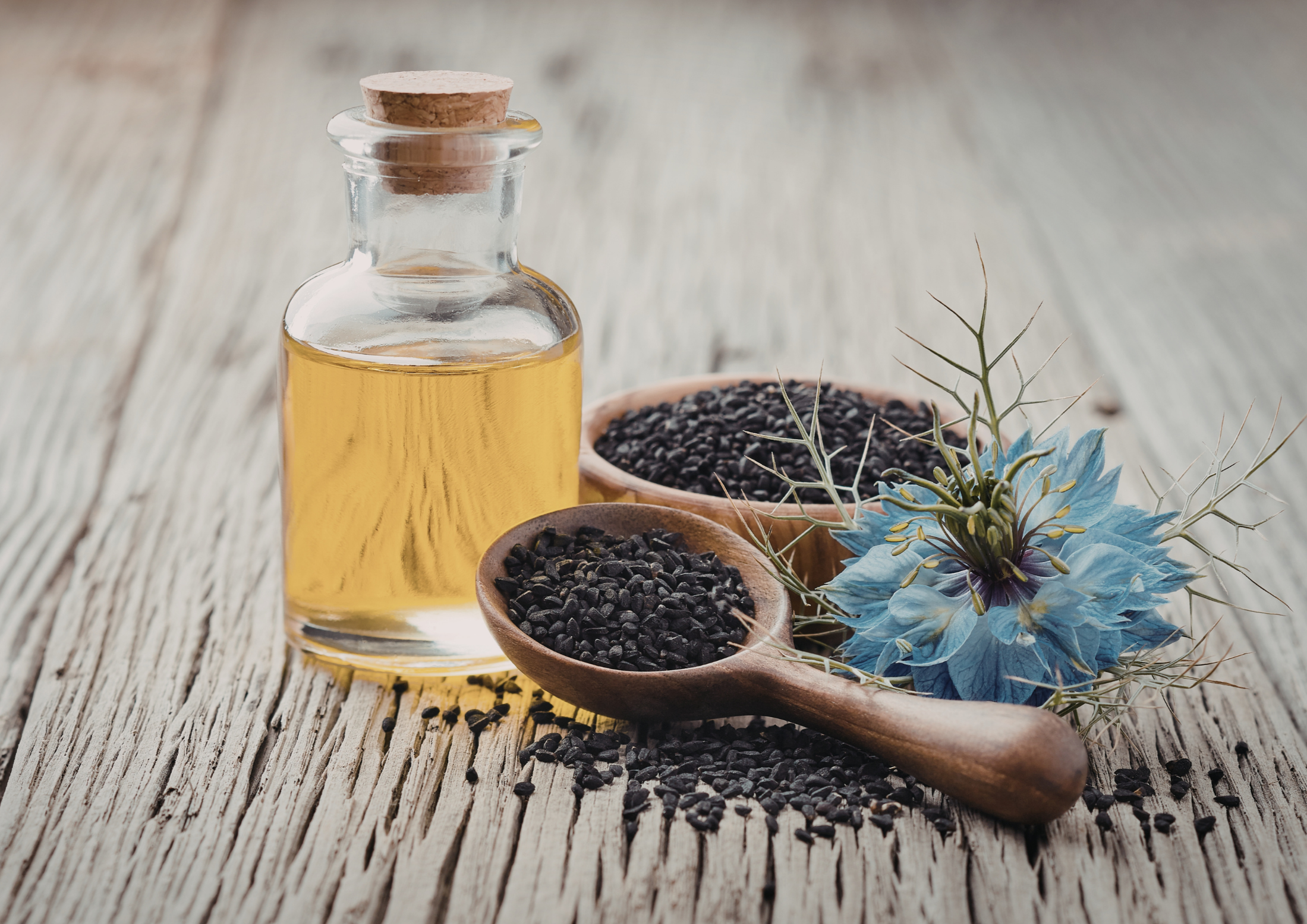 Black Seed Oil (Nigella / Black Cumin)