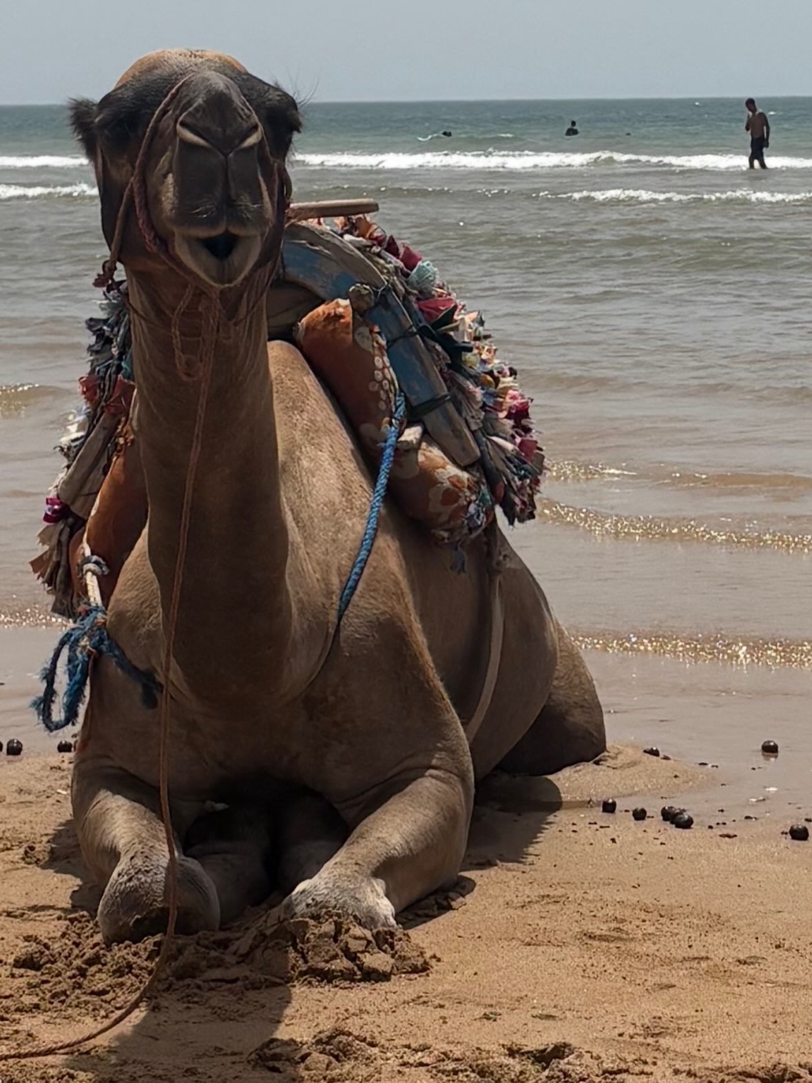 Amazing trip to Essaouira!