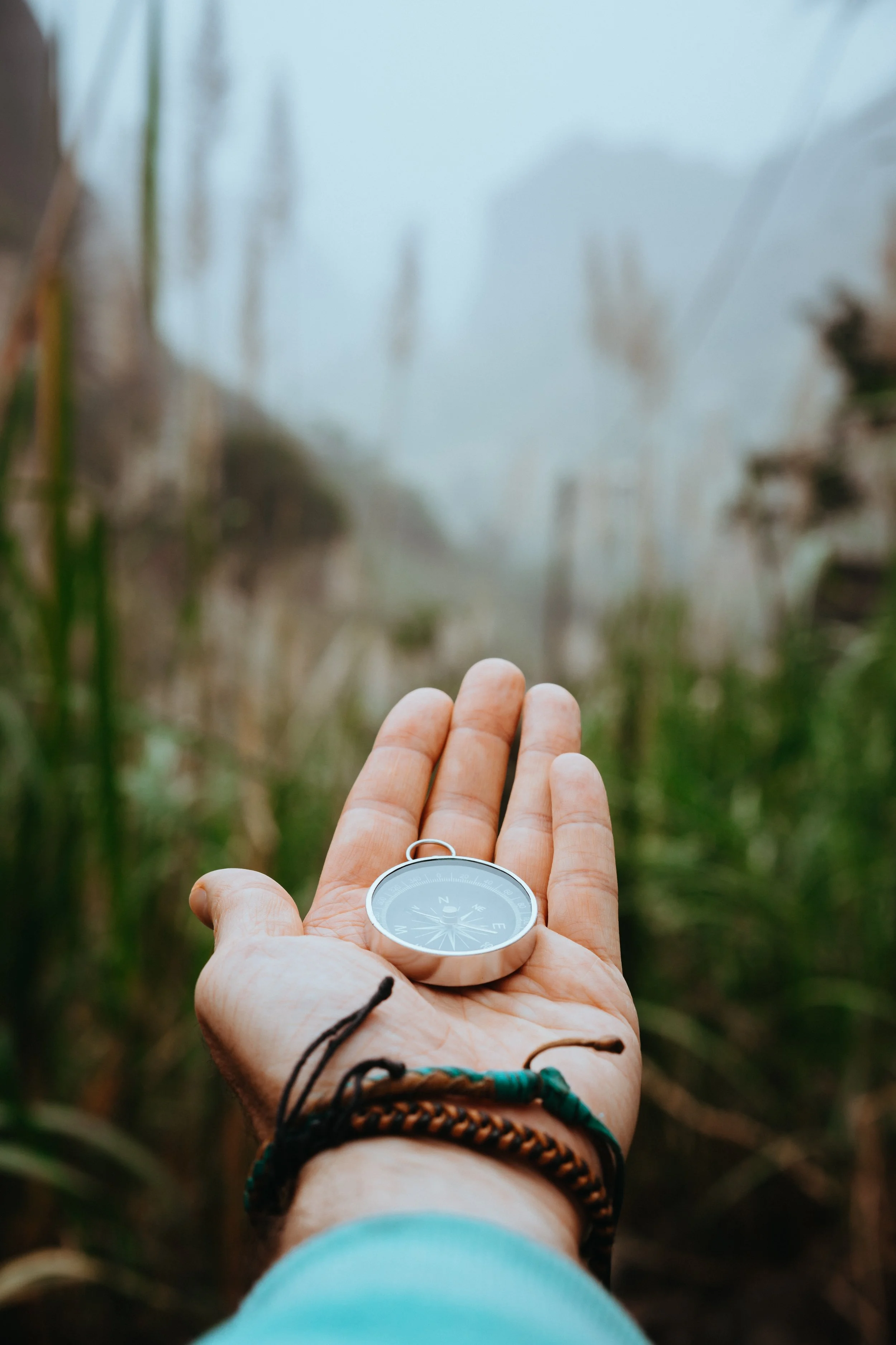 iStock-925079856.jpg