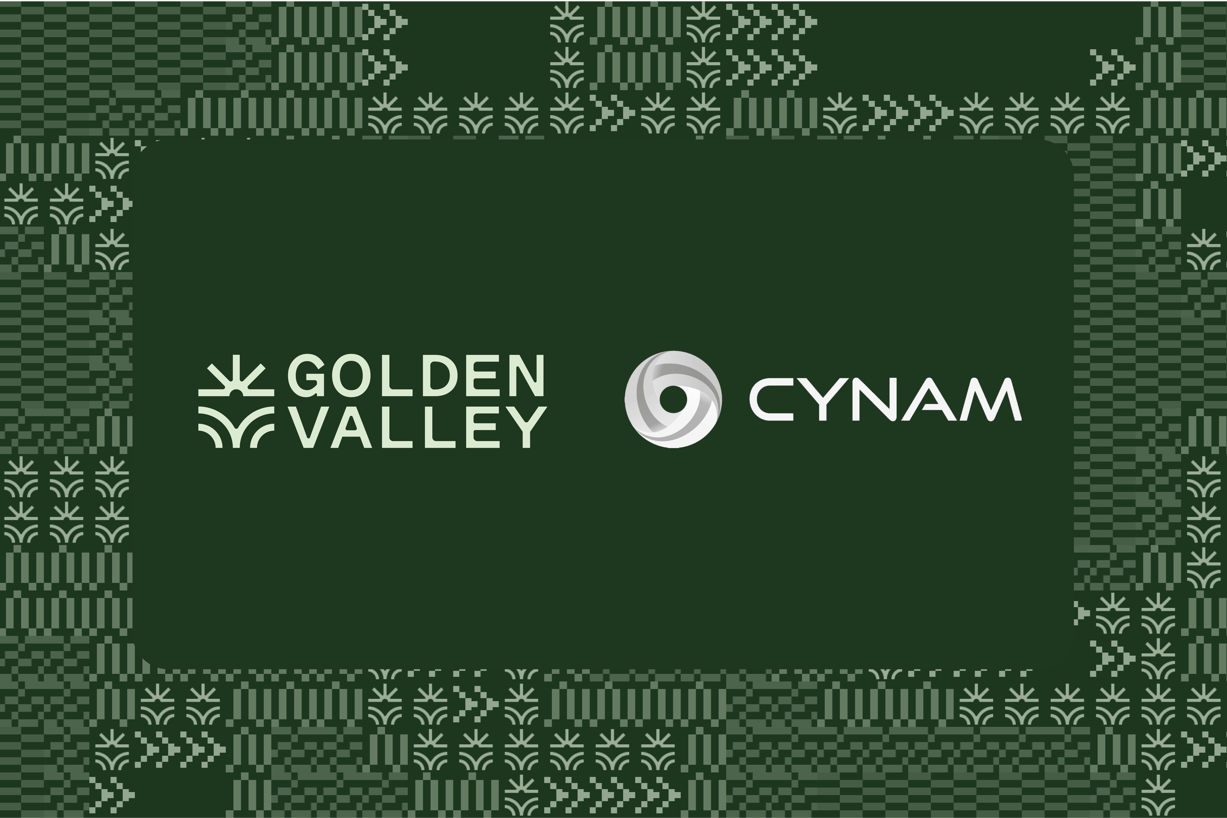 CyNam x Golden Valley: Networking Drinks