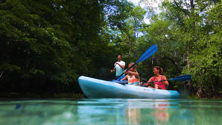 Lake City, Florida's Springlands: Highlight Video