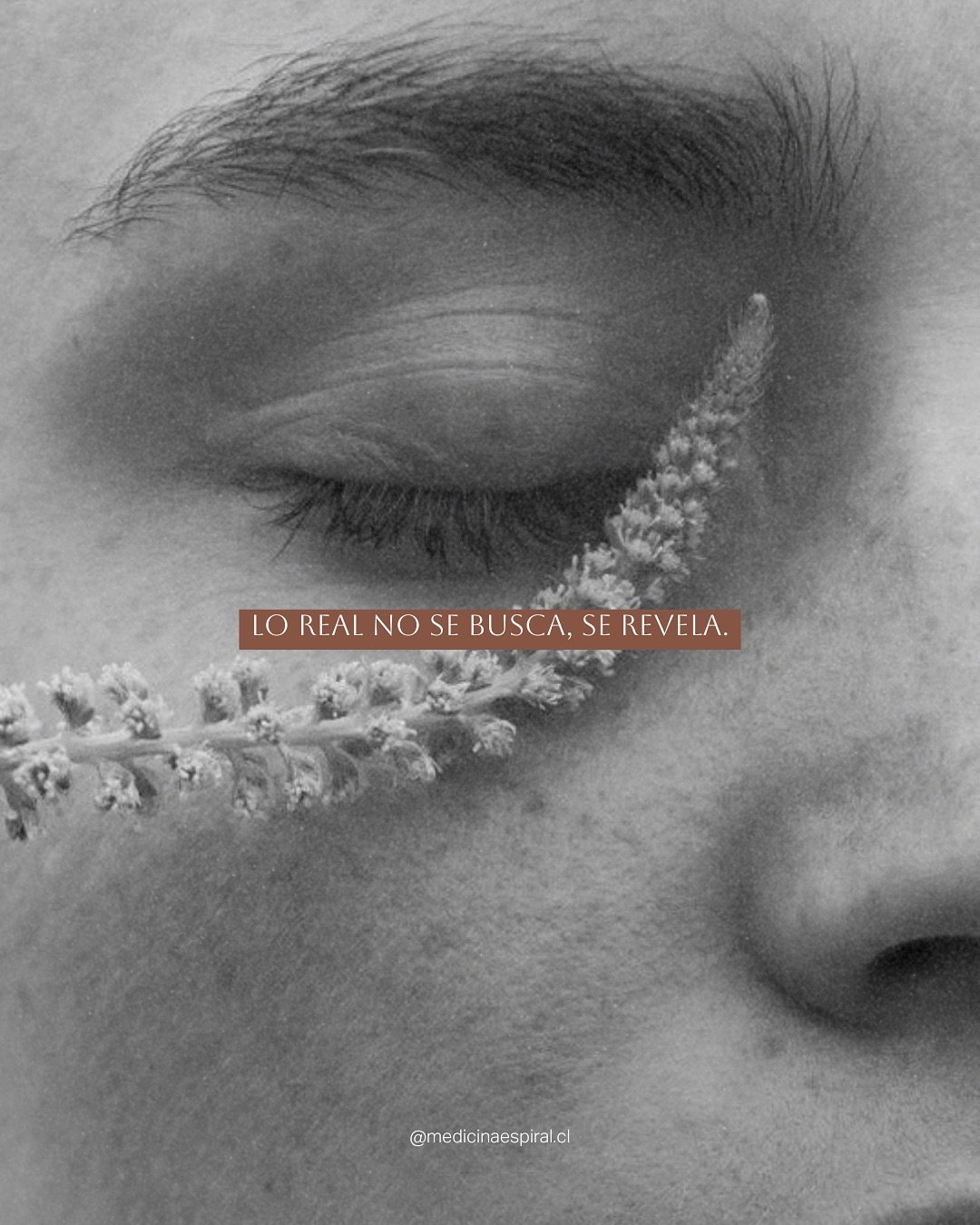 Mientras m&aacute;s capas me saco
M&aacute;s libre me siento 
Las p&eacute;rdidas son parte del proceso
Y as&iacute;, lo real se revela 👁