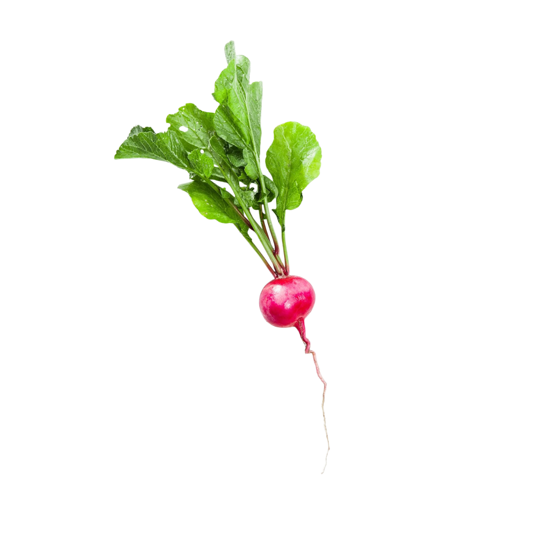 Weekly Menu — Urban Sprouts Child Development Center