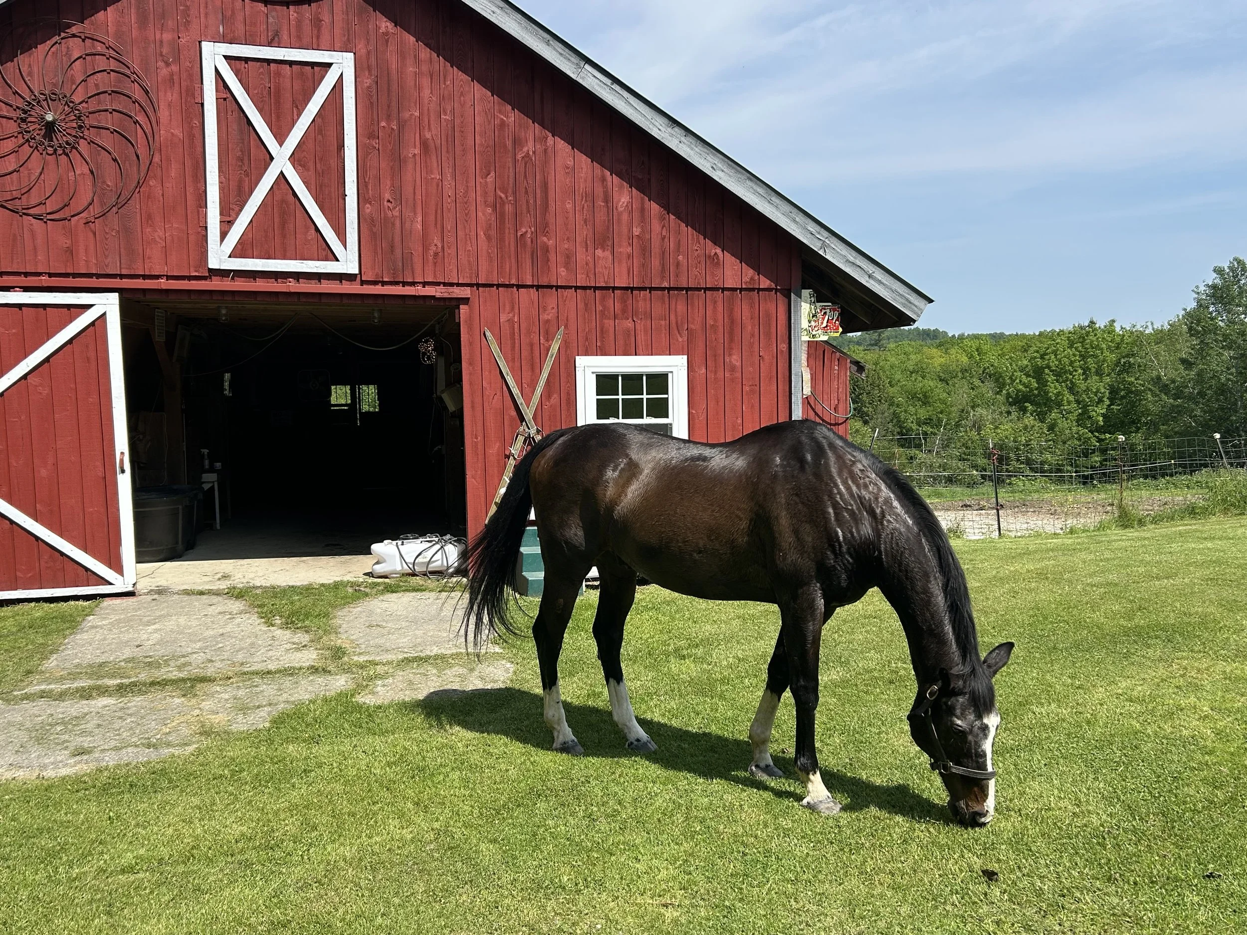 Equine Retreat