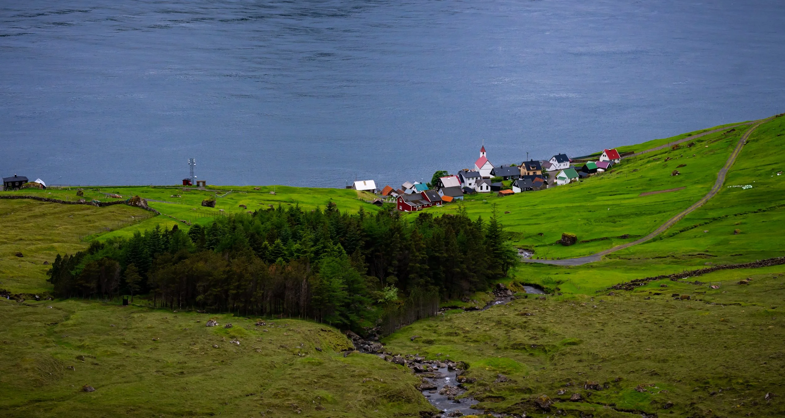 DSC_2927.jpg
