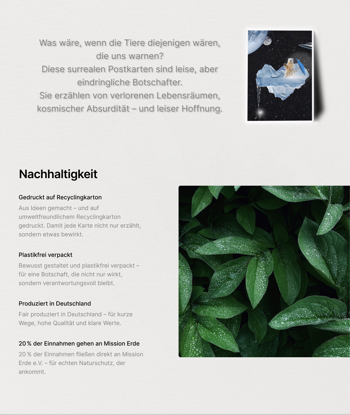 Poster mit einer Illustration, die den Weltraum zeigt, darunter Text über Nachhaltigkeit, nachhaltig gedruckt auf Recyclingkarton, plastikfrei verpackt und in Deutschland produziert, mit einem Bild grünem Laub mit Wassertropfen.