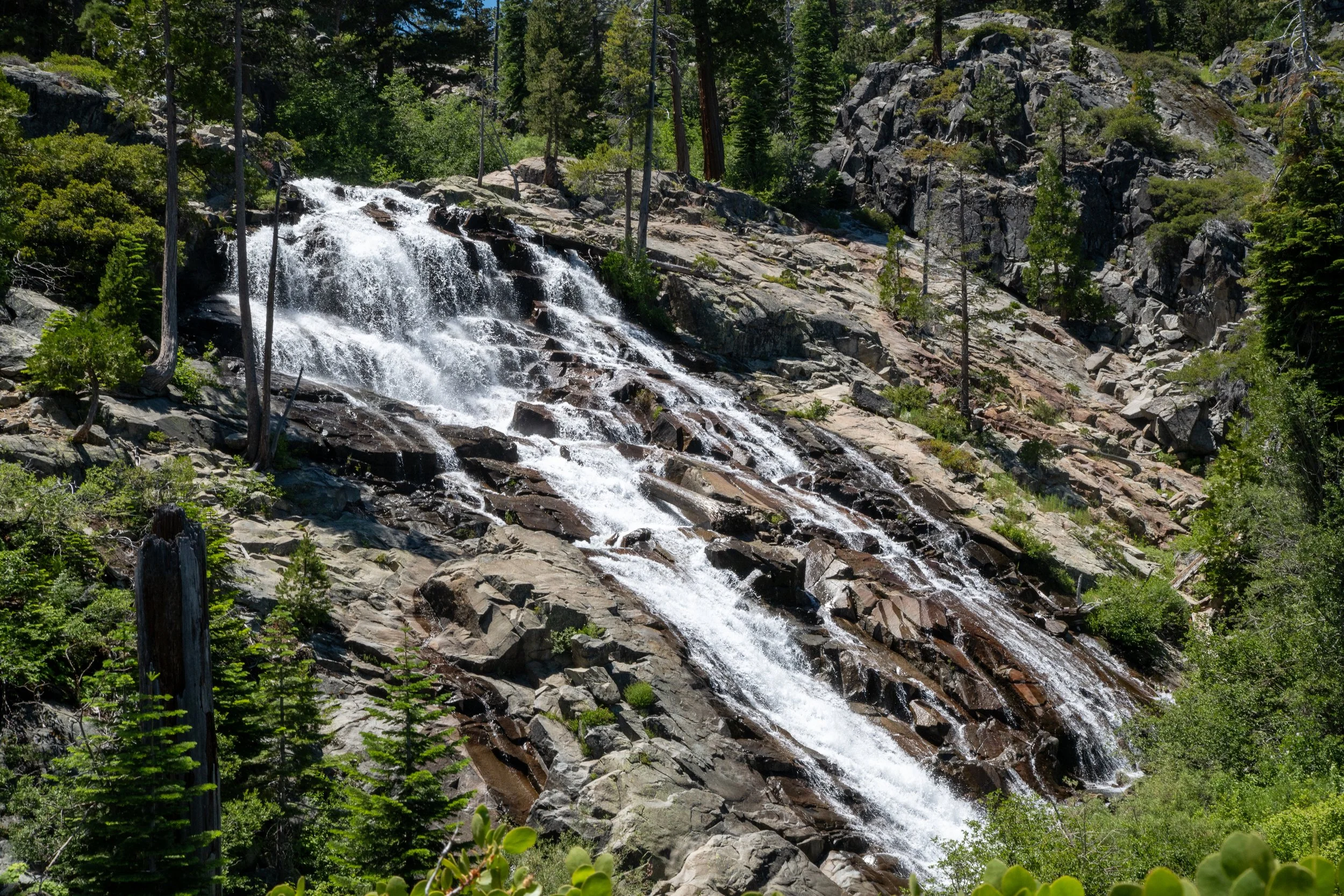 camp_richardson_tahoe_2026-16.jpg