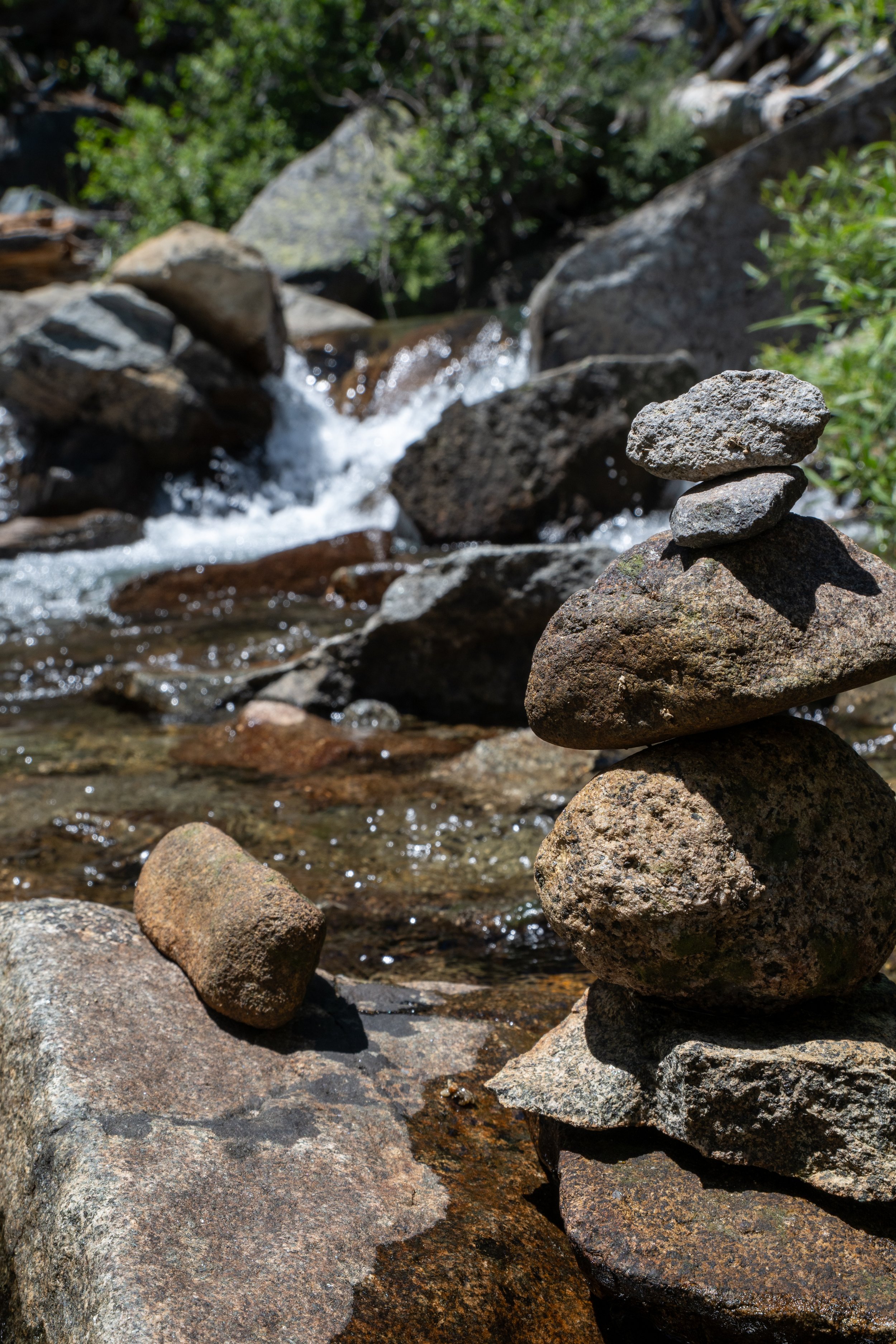 camp_richardson_tahoe_2026-12.jpg