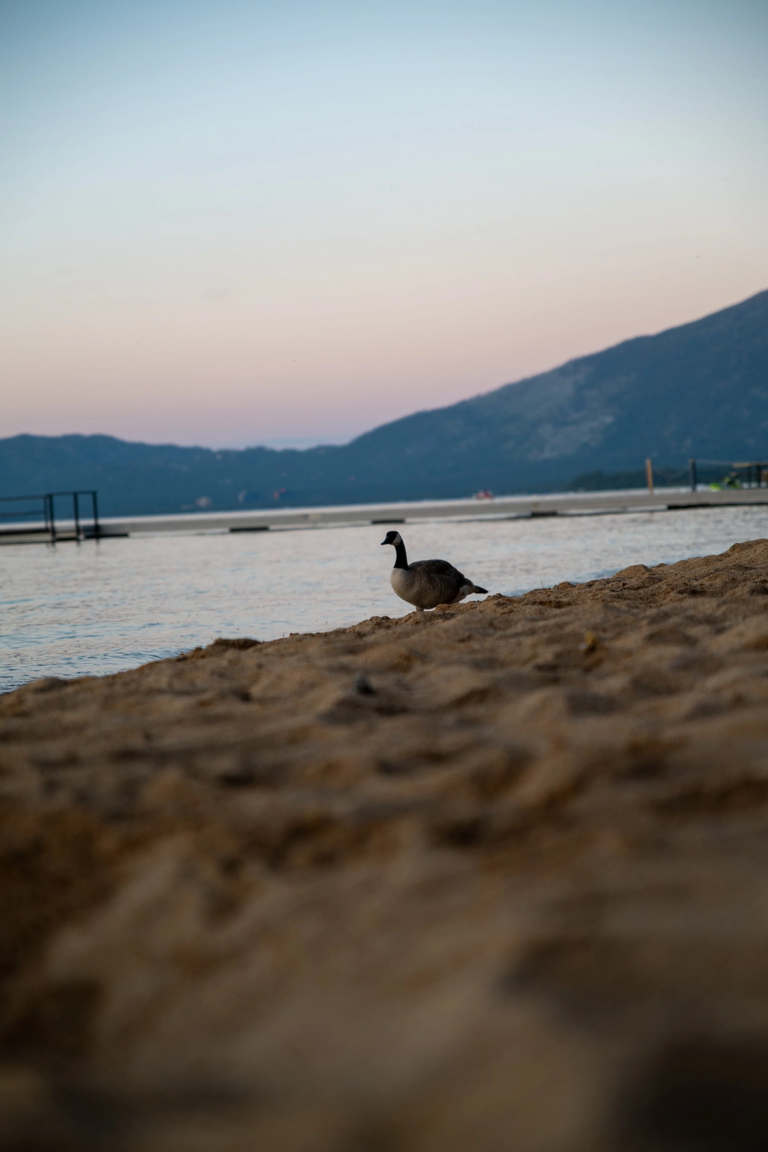 camp_richardson_tahoe_2026-05.jpg
