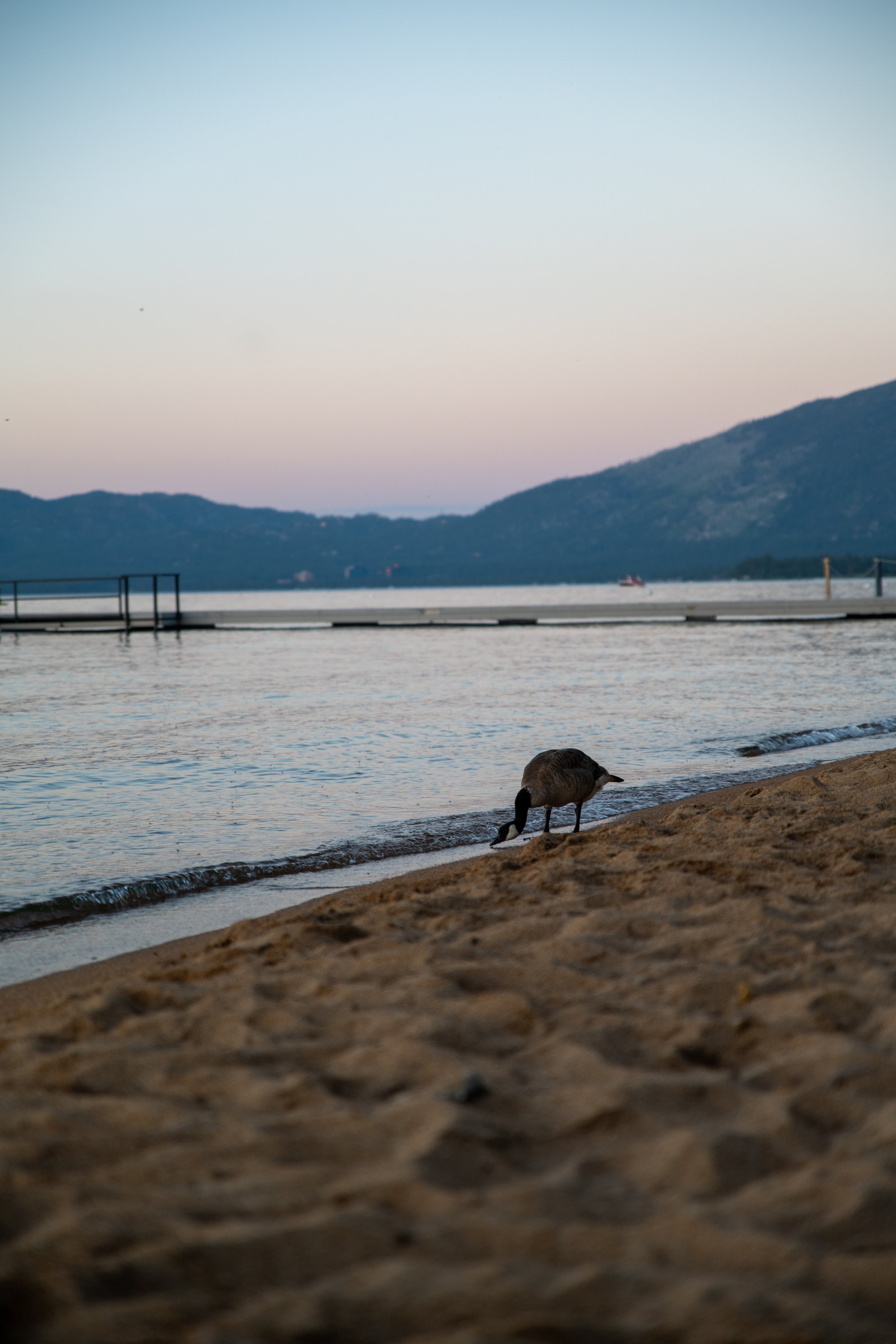 camp_richardson_tahoe_2026-04.jpg