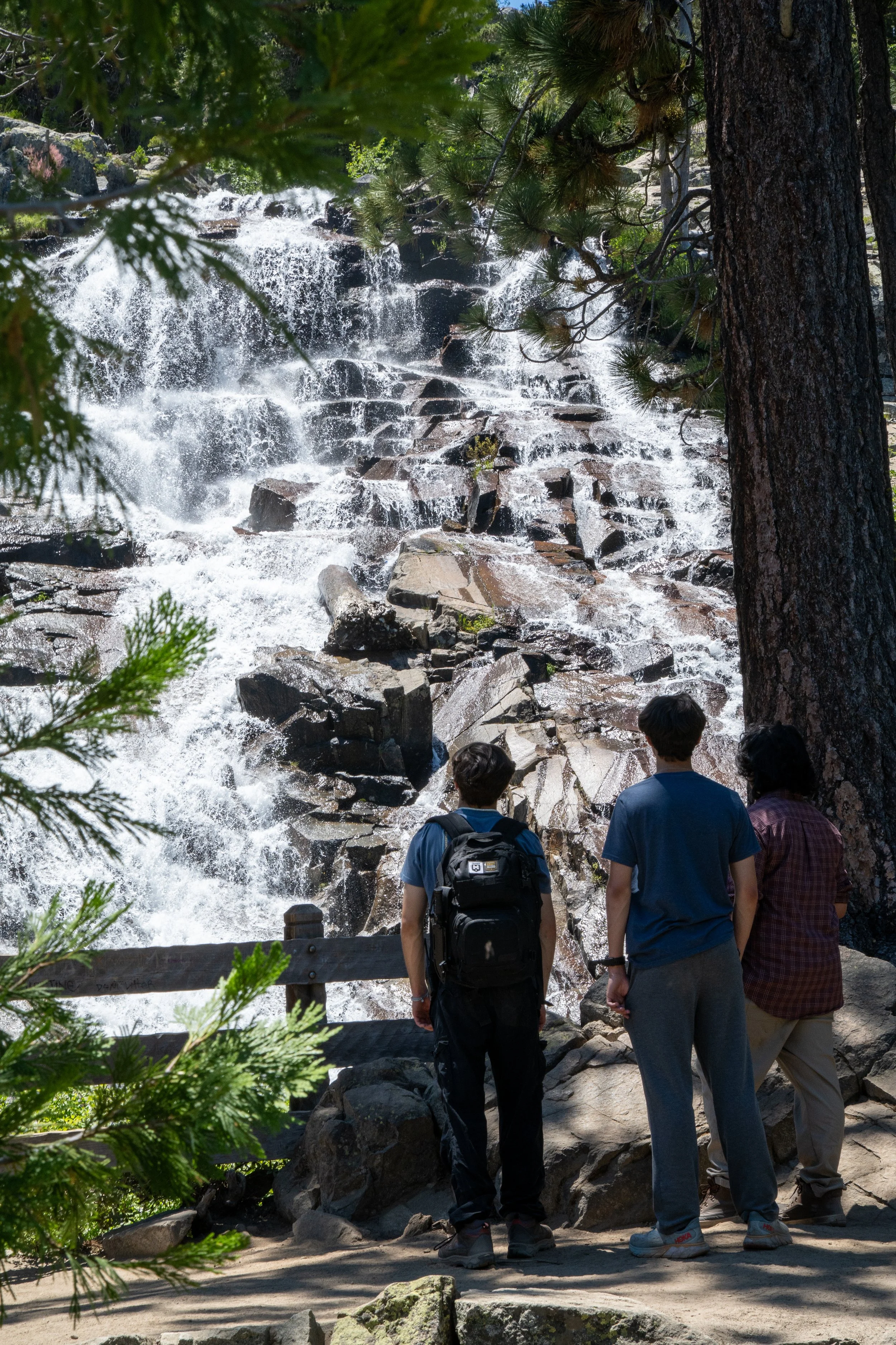 camp_richardson_tahoe_2026-13.jpg