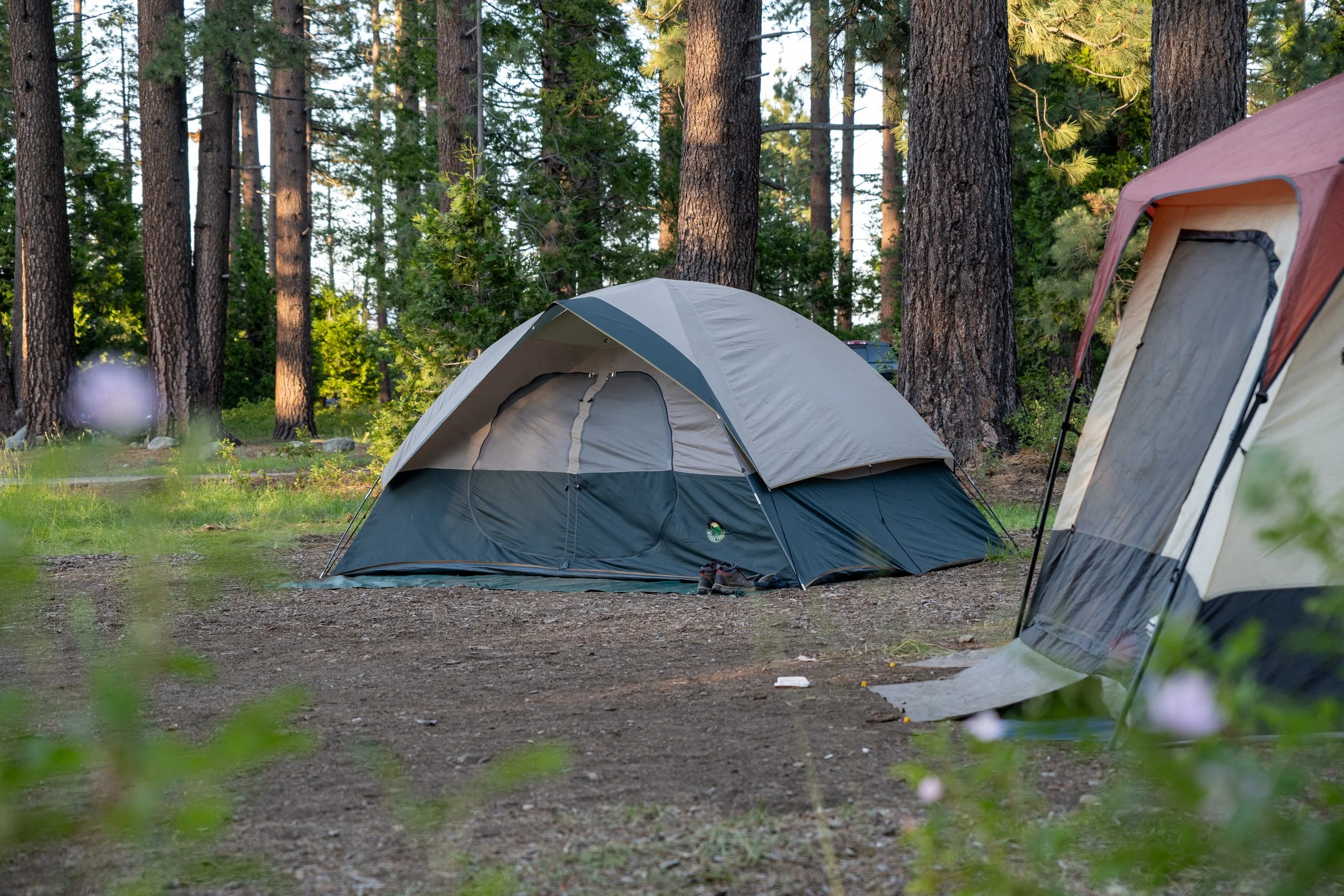 camp_richardson_tahoe_2026-01.jpg