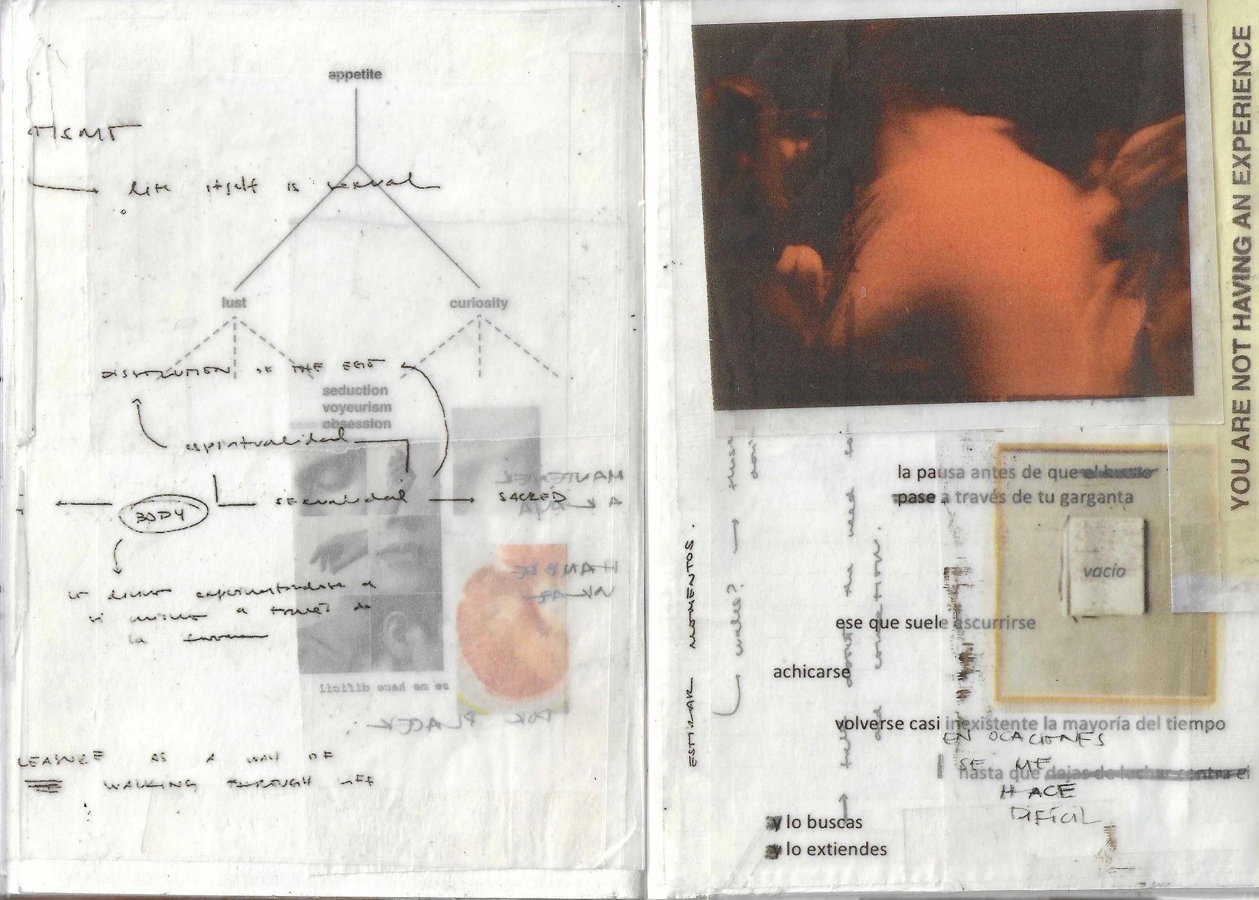 book_notes_adicta_3.jpg