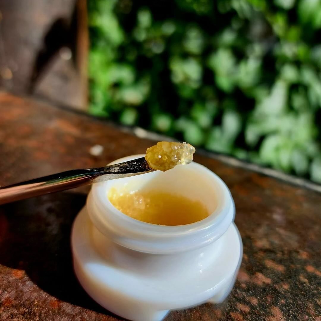 Cream of the crop 🍯 

Thanks for sharing, @dgorecroom! 🌺 #BudFoxSupplyCo