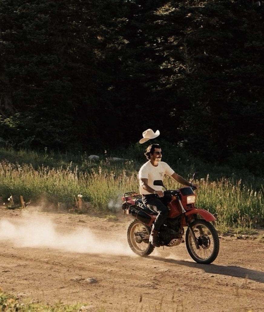 Ridin&rsquo; high, feelin&rsquo; fly, and leaving a trail of good vibes 🍃🚴&zwj;♂️ #HighTimes #SustainablyGrown #BudFoxSupplyCo

Image via Pinterest.