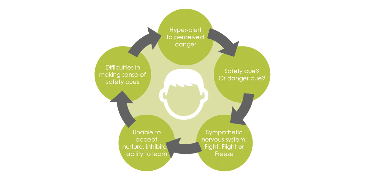 Diagram showing the trauma survival mode cycle: hyper-alertness, danger cues, fight or flight, and difficulty learning or accepting nurture