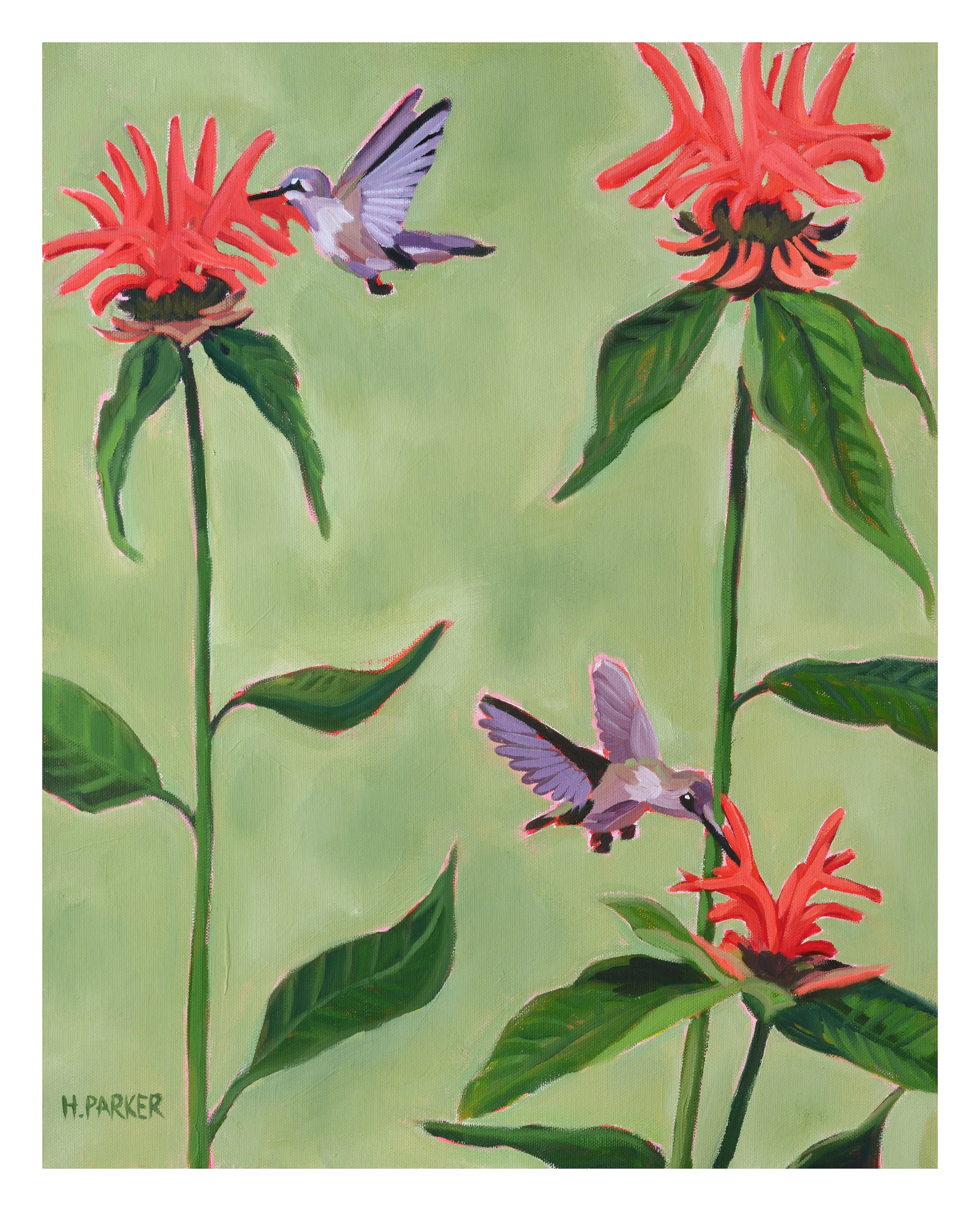 "Ode to Hummingbirds and Bee Balm Flowers #2" Print