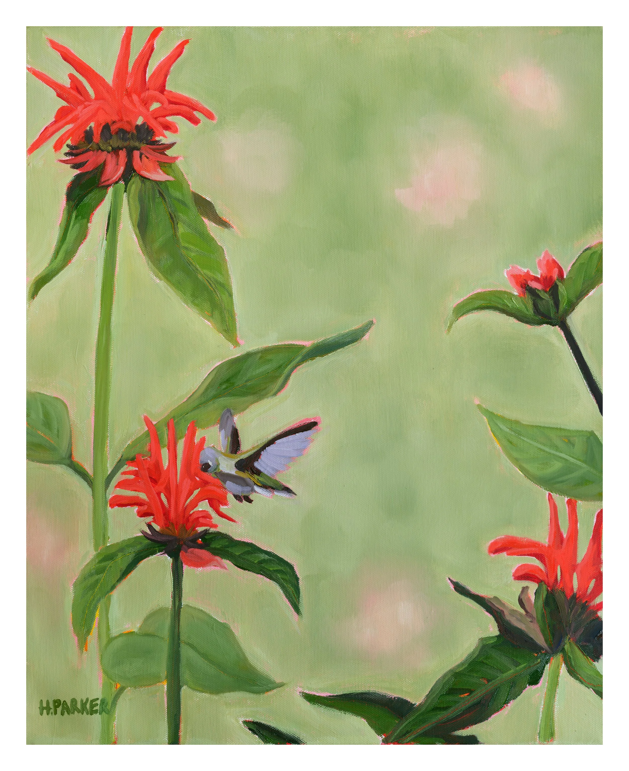 "Ode to Hummingbird and Bee Balm Flowers" Print