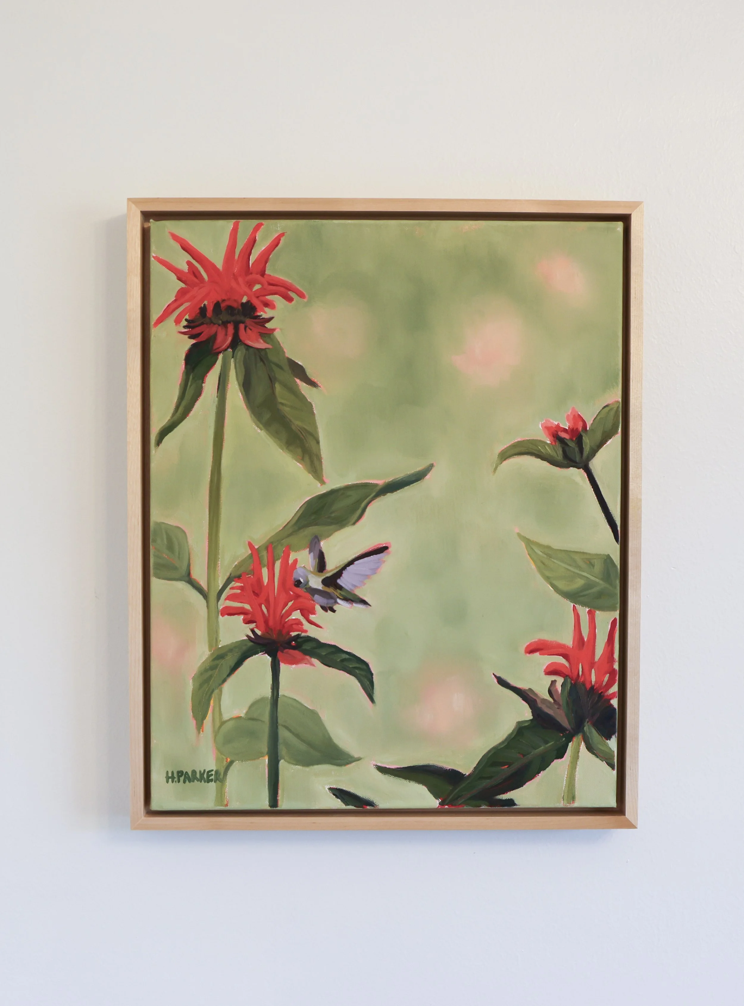 "Ode to Hummingbirds and Bee Balm Flowers"