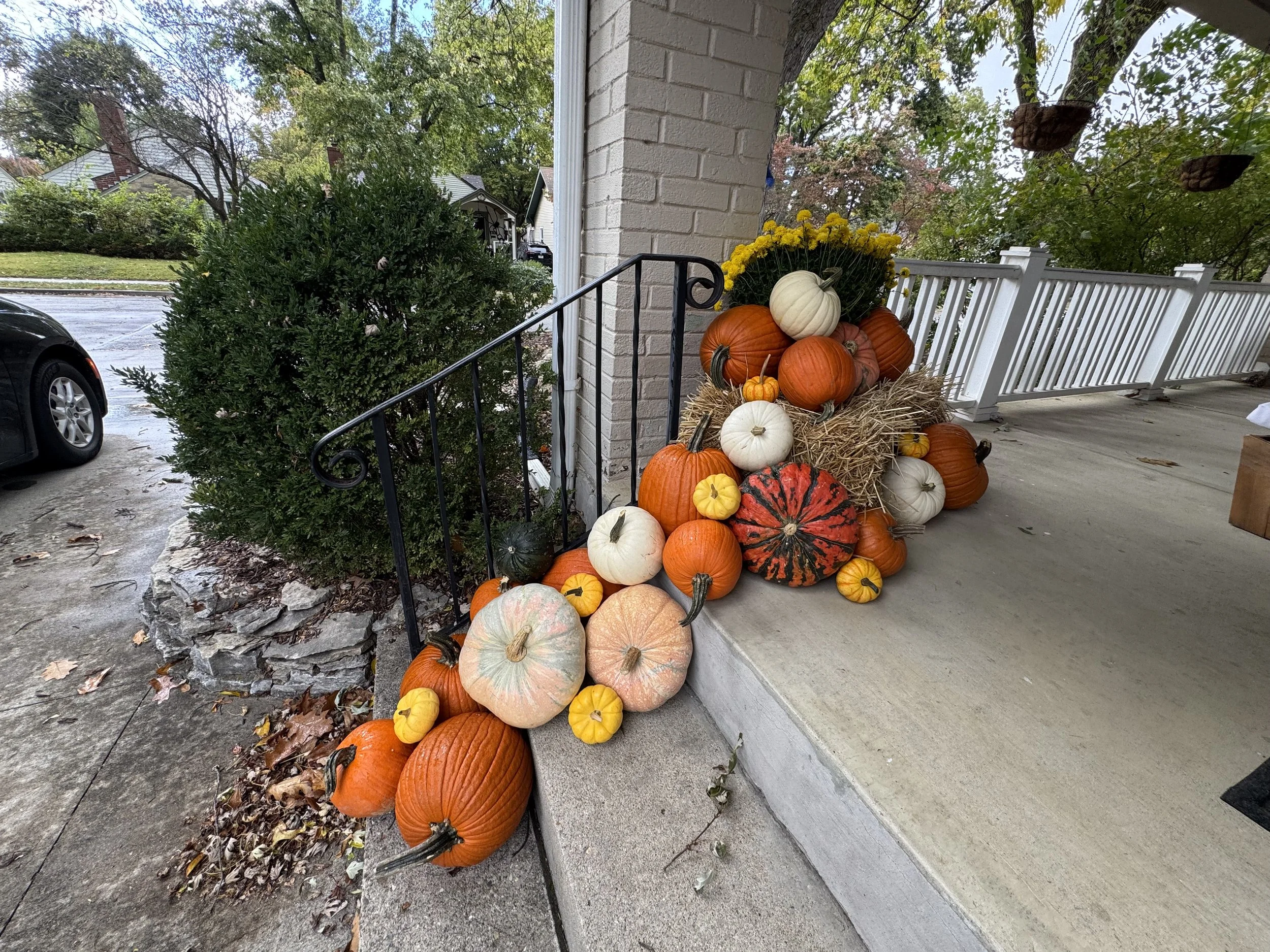 ClassicPumpkins_Hay.jpeg