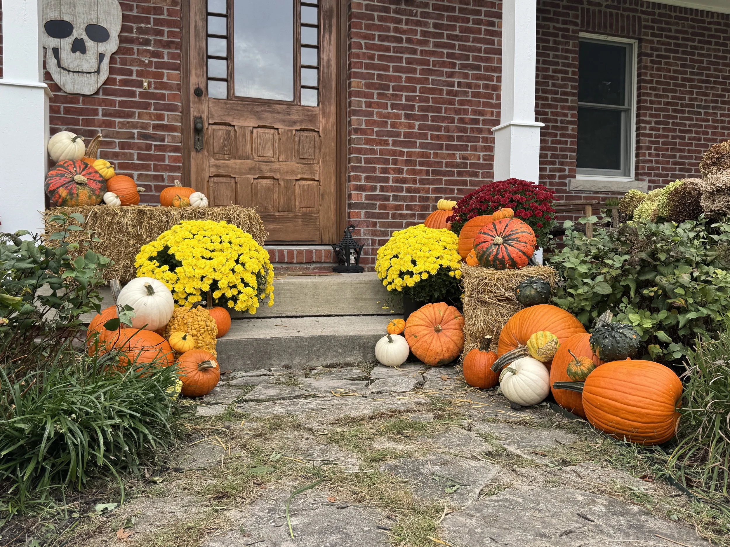ClassicPumpkins_Hay_Mums.jpeg