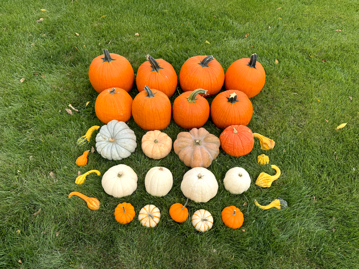The Classic Porch Pumpkin display. Luxury fall porch displays in Westfield, Indiana. Chatham Hills, Holliday Farms, The Village of West Clay.