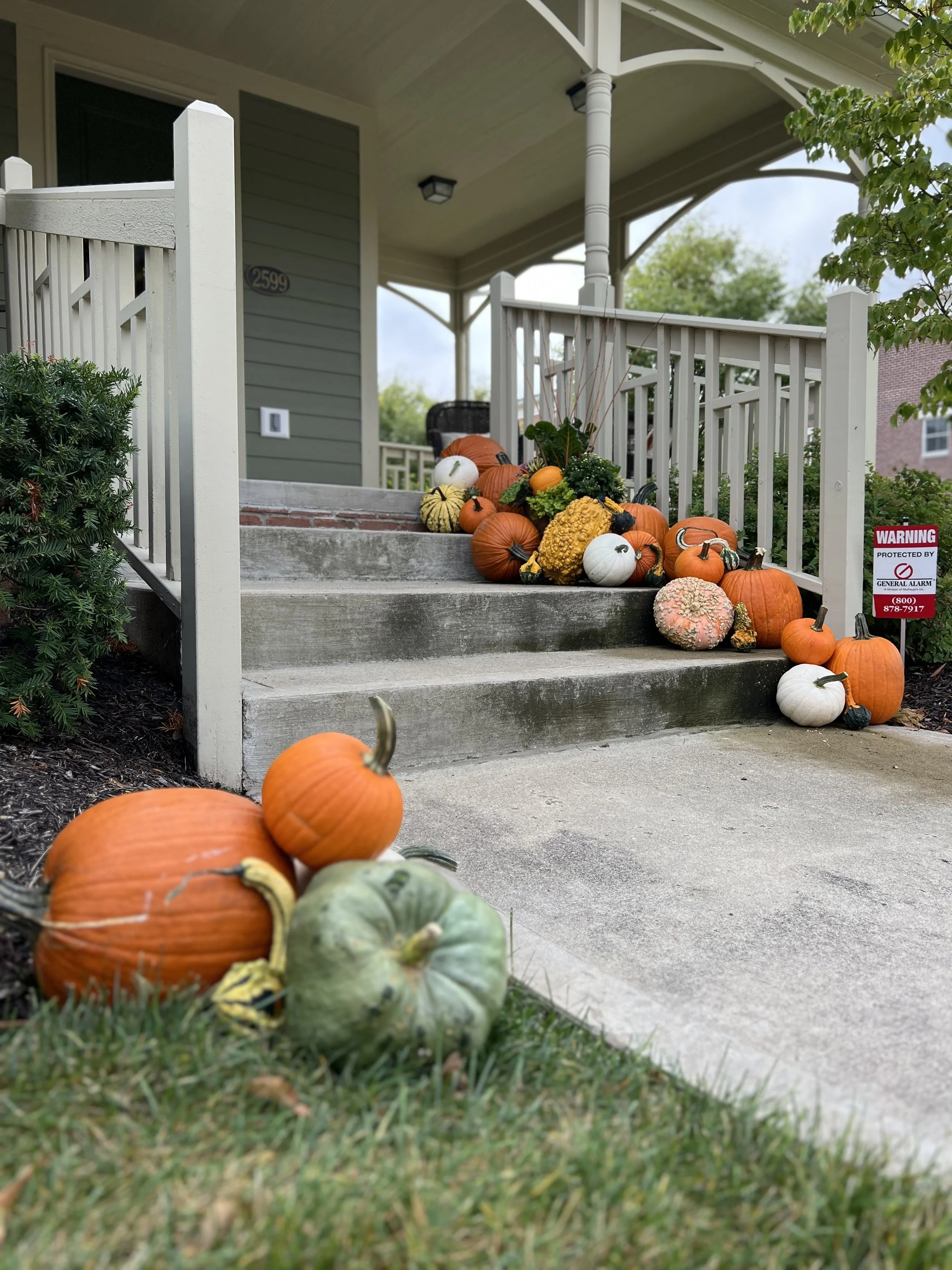 ClassicPumpkins_OneSide.jpeg