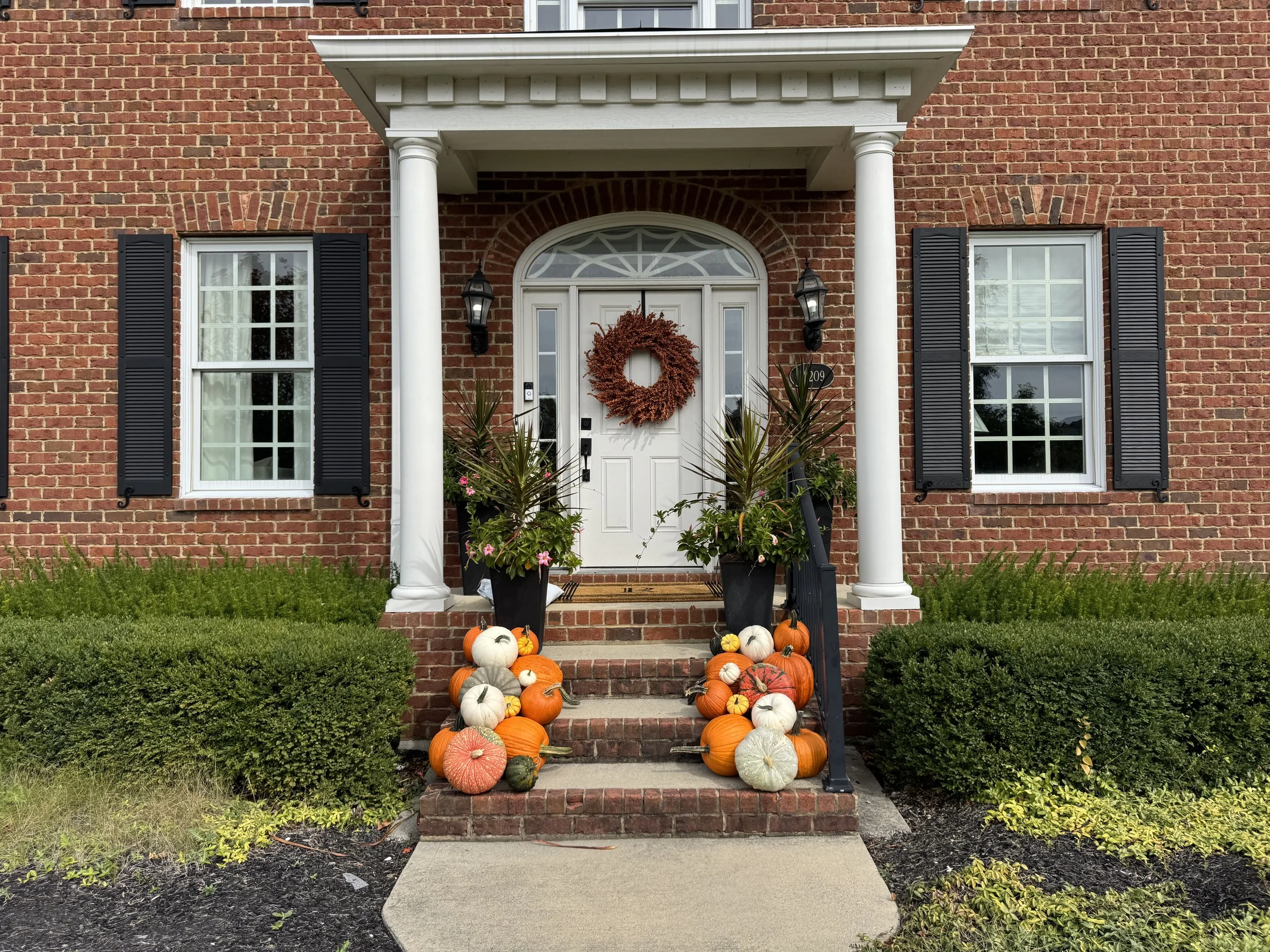 ClassicPumpkins.jpeg