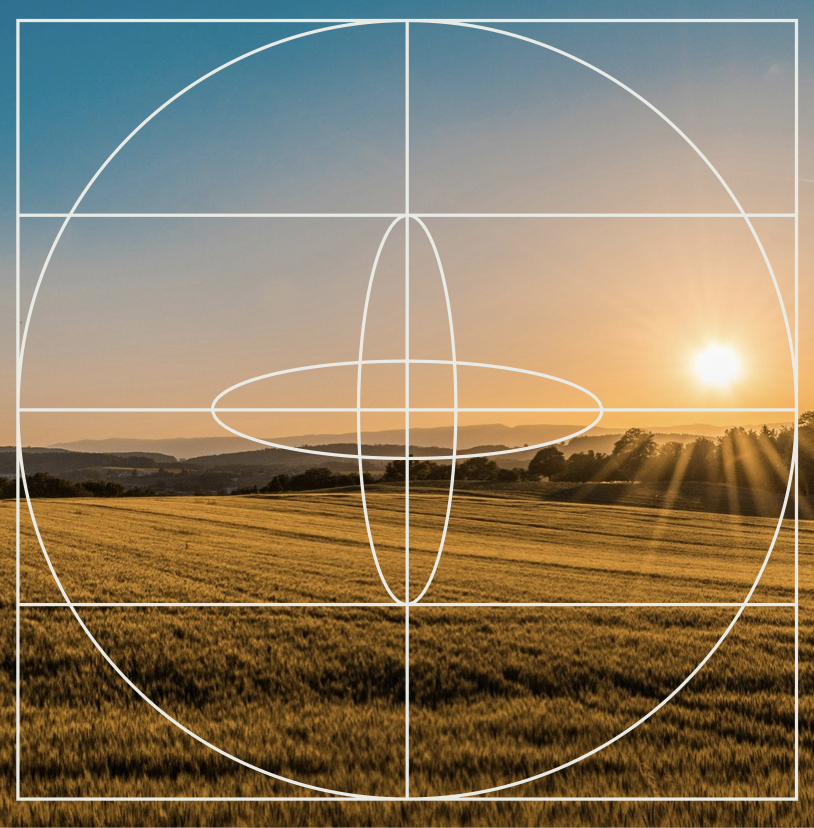 The Changing Farmland Market