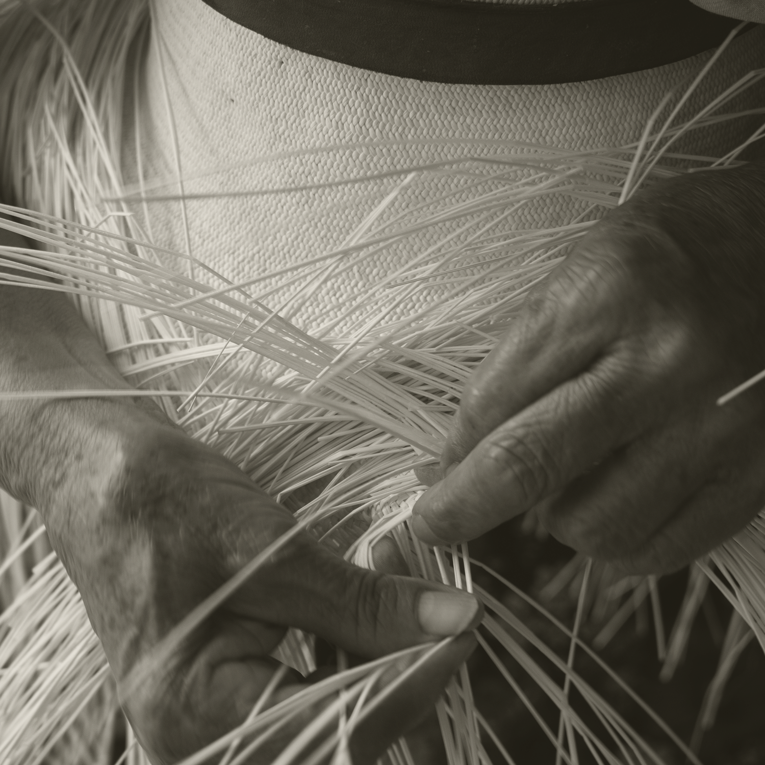 Hands weaving toquilla straw