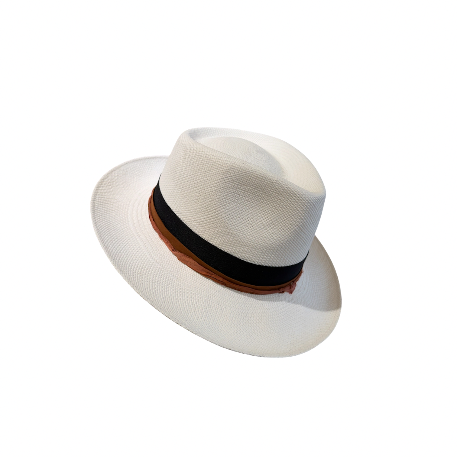 Untitled design 2.png
