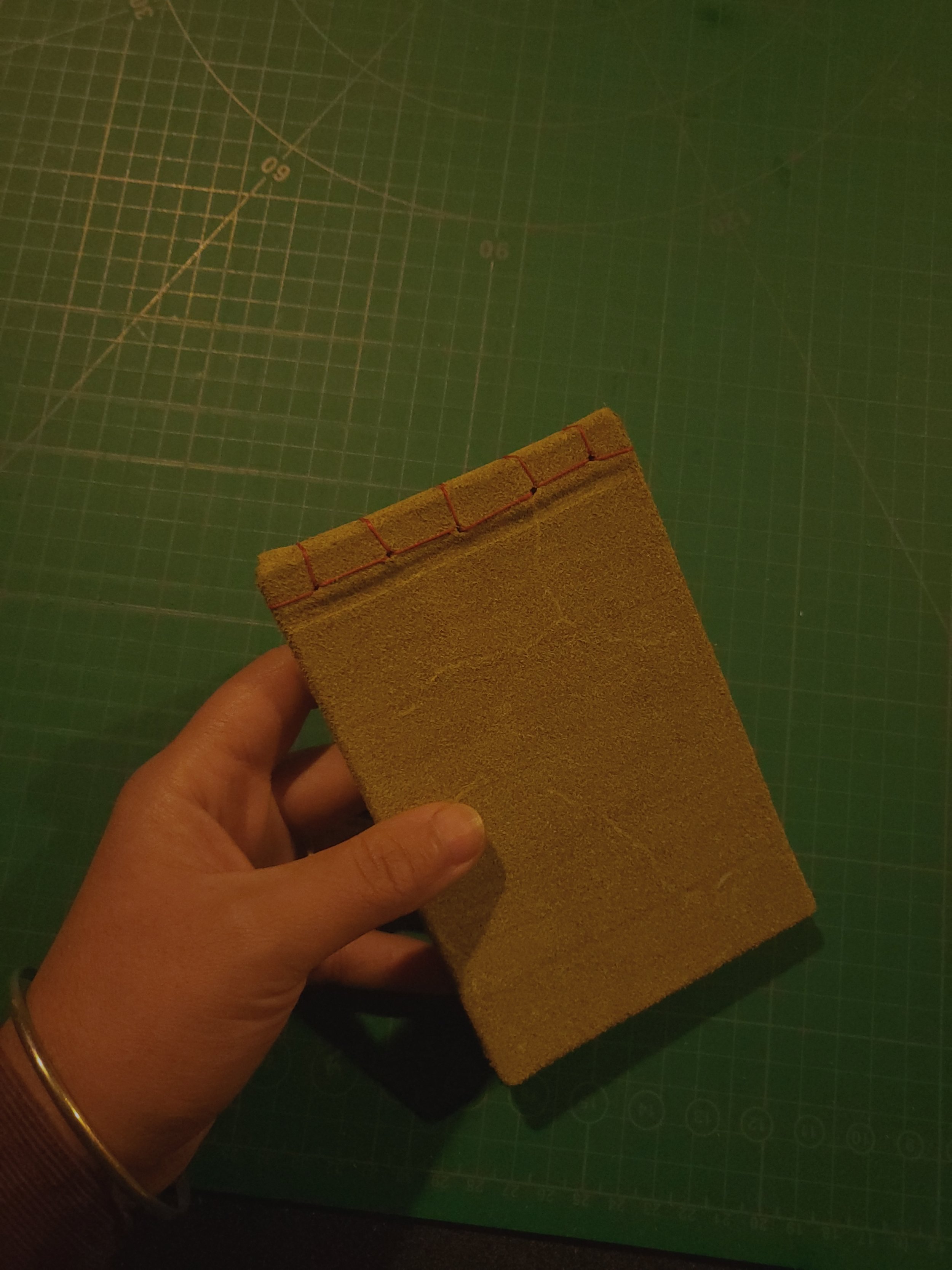 20251206_190029 (1).jpg