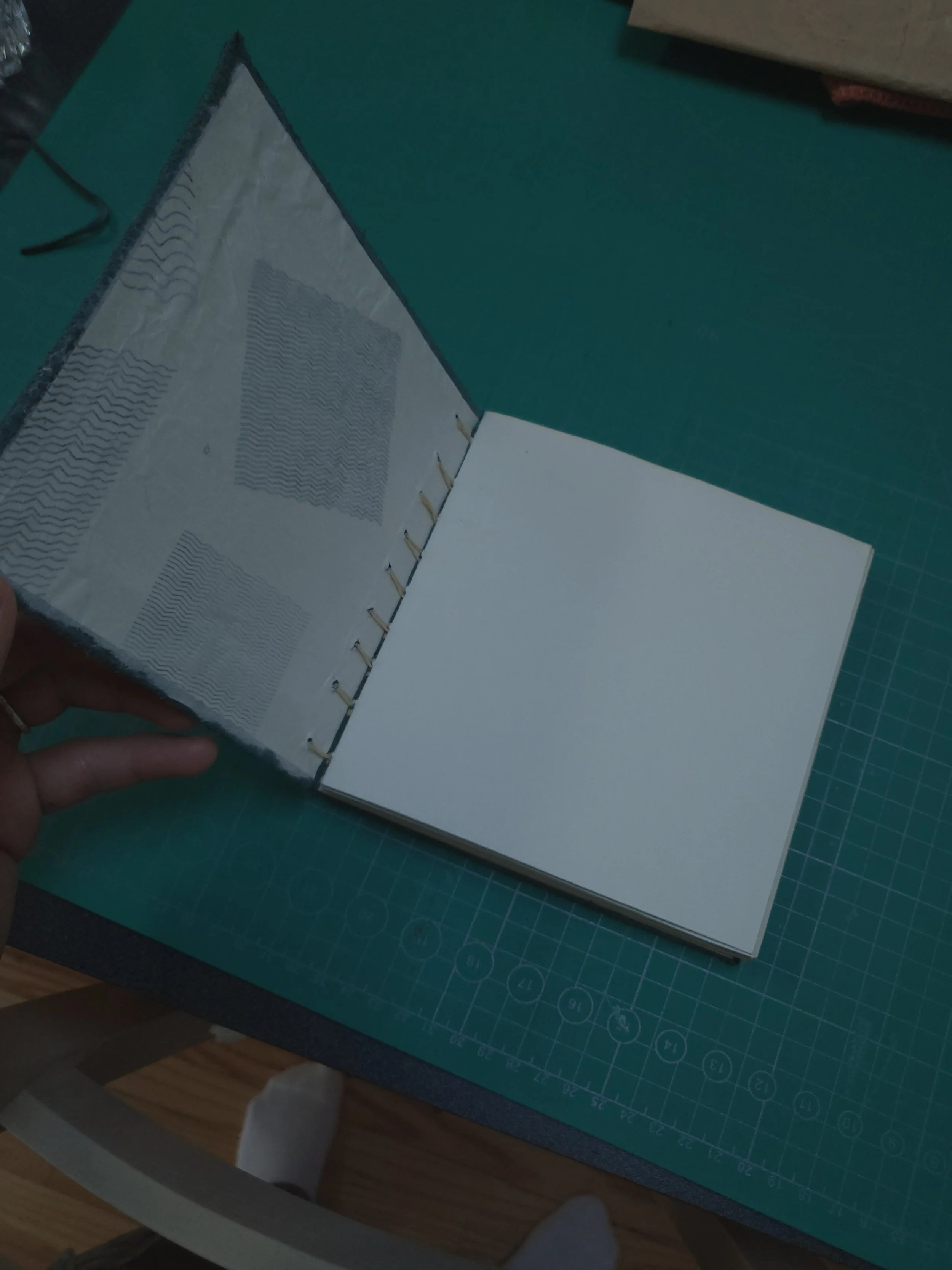 20251217_084226 (1).jpg