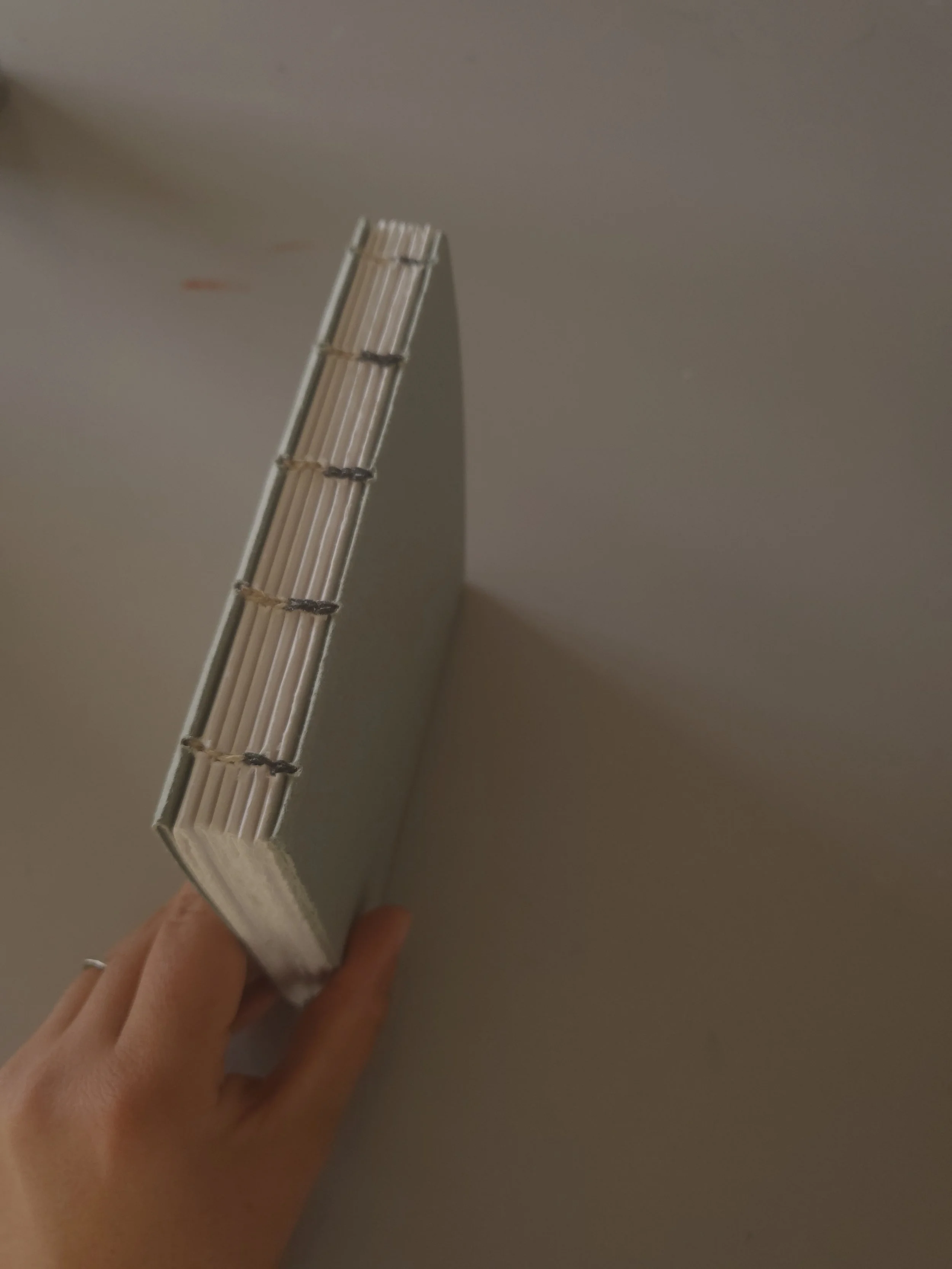 20251117_125737 (1).jpg