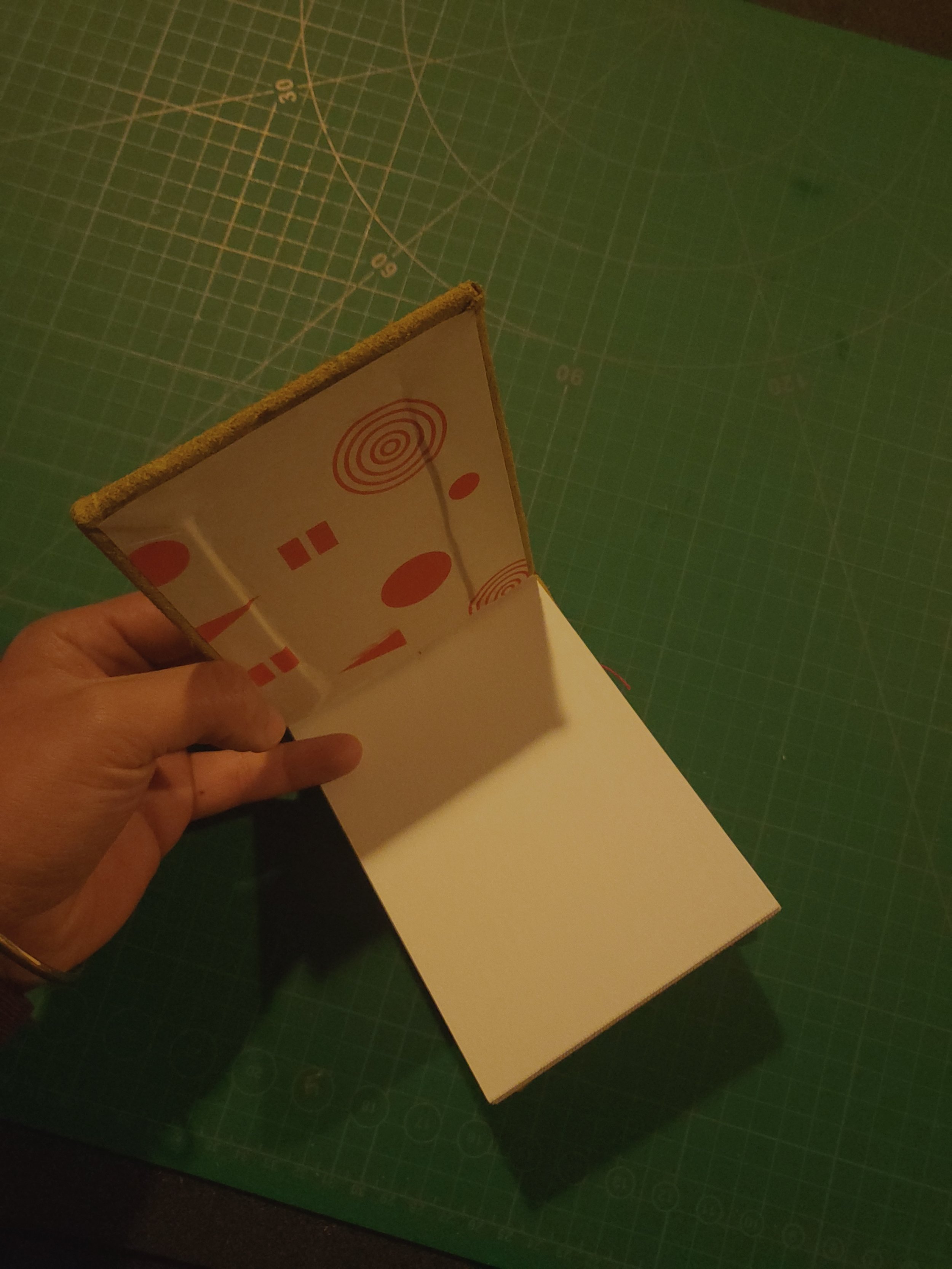 20251206_190037 (1).jpg