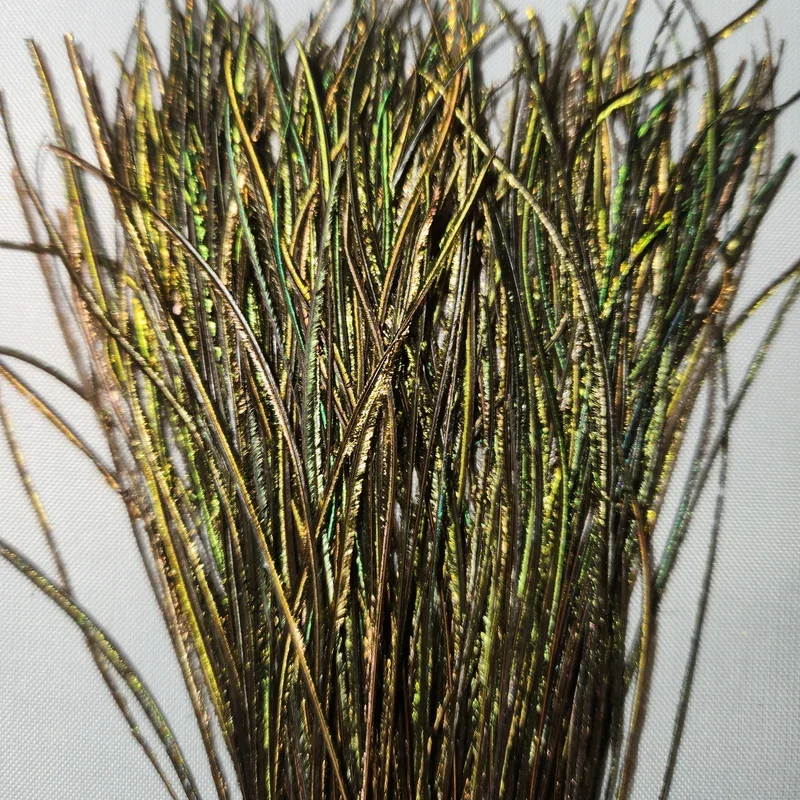 Peacock Herl Strung