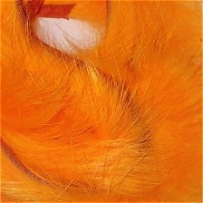 th (31).jpg