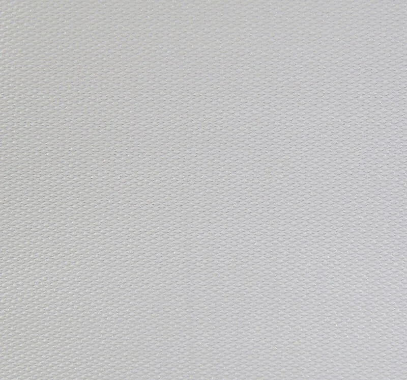 ds65.jpg