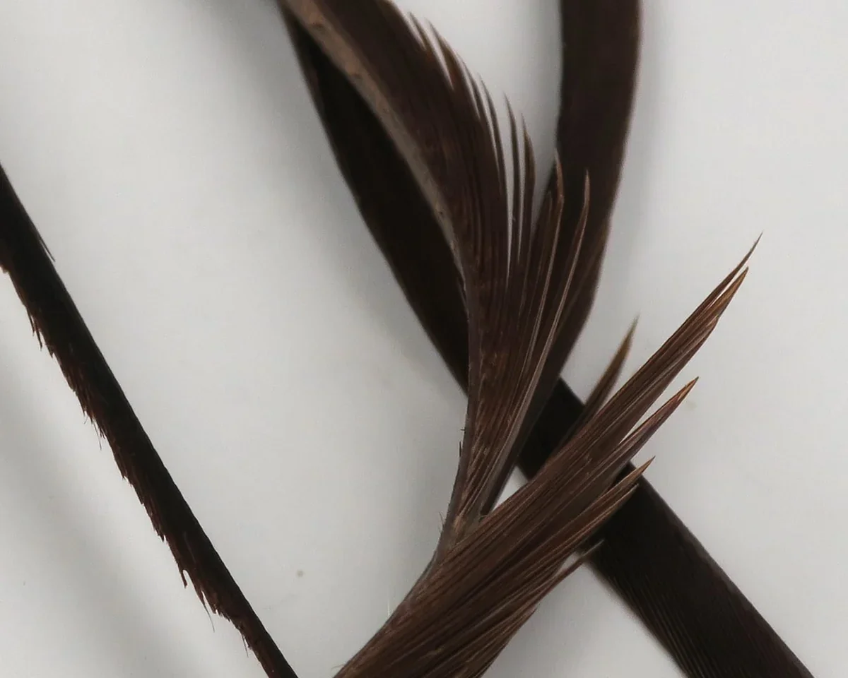 hareline-fly-tying-hareline-stripped-goose-biots-1240586805.webp