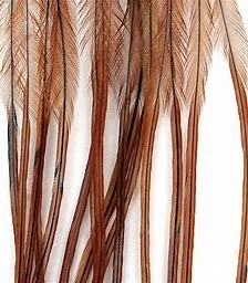 th (3).jpg