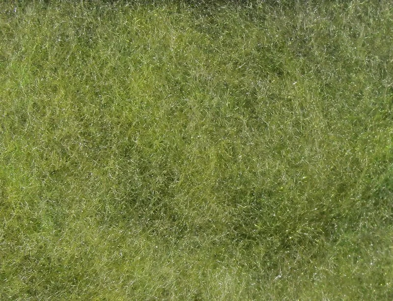sfdf168go.jpg