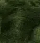 downloadbwo.webp